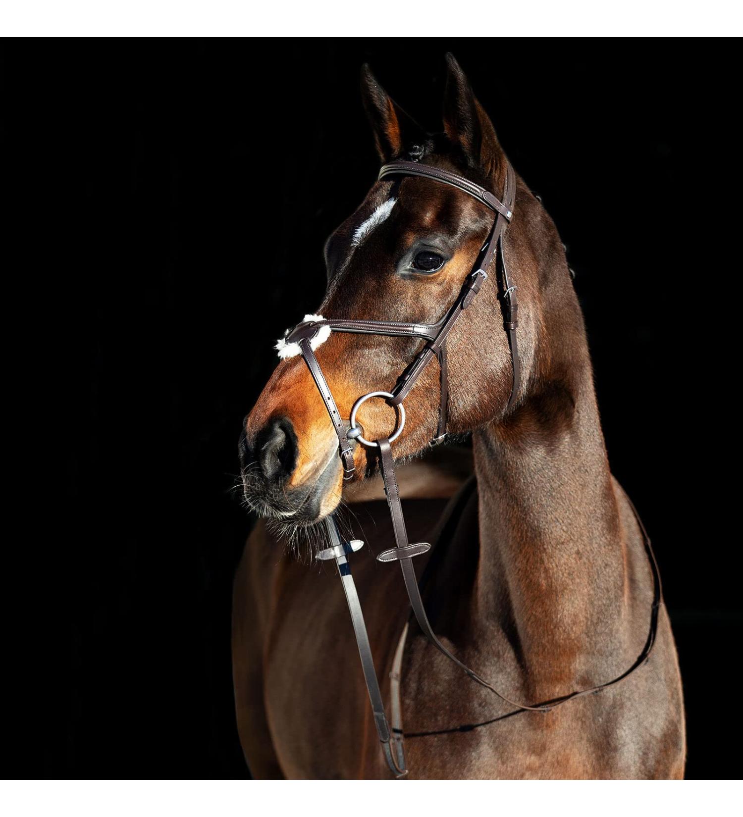 HORZE Prescott Figure 8 Bridle - Brown, Horse Size - Buy Online on SooperMarket.com