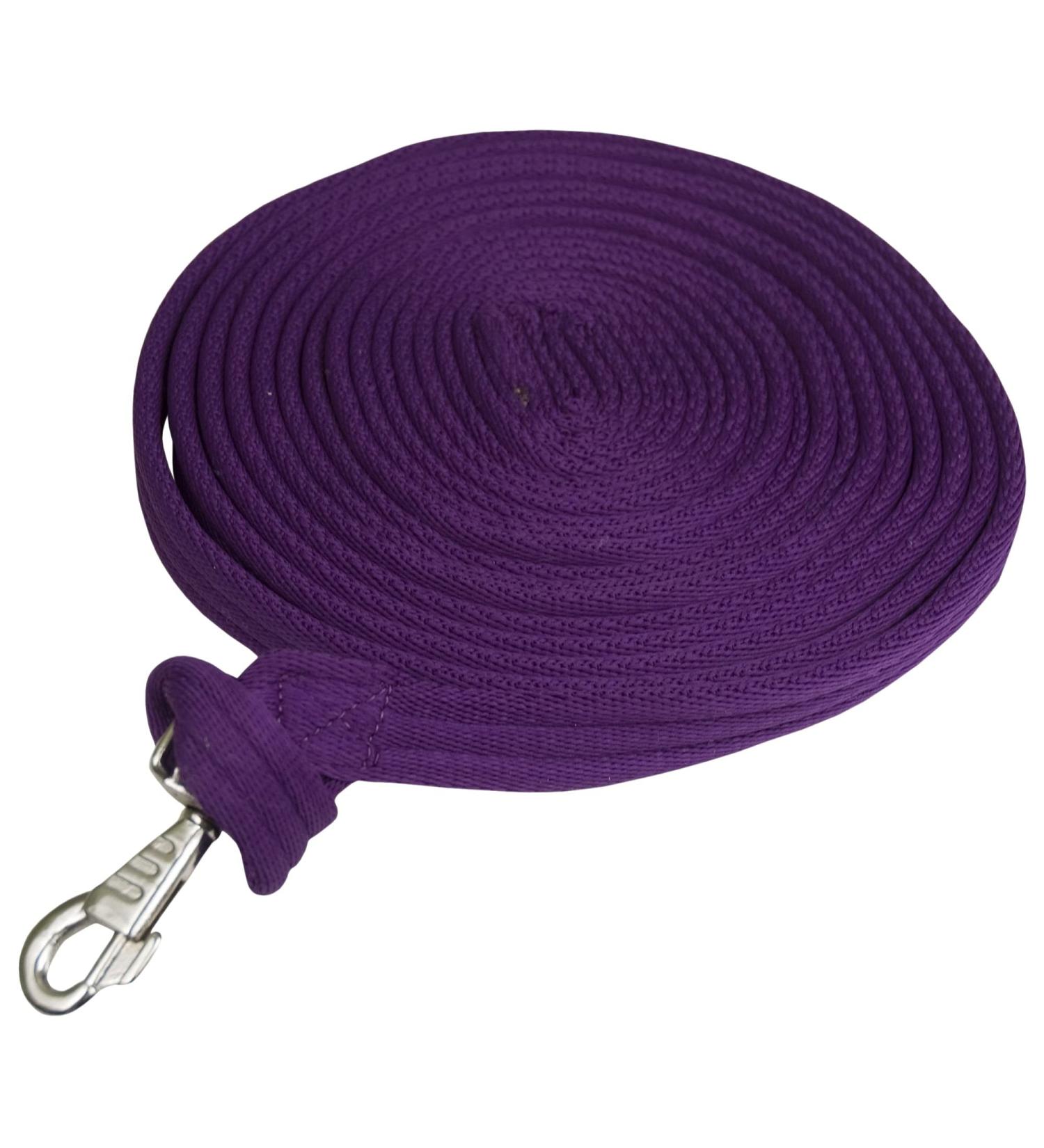 Gatsby Cushion Web Lunge Line Purple