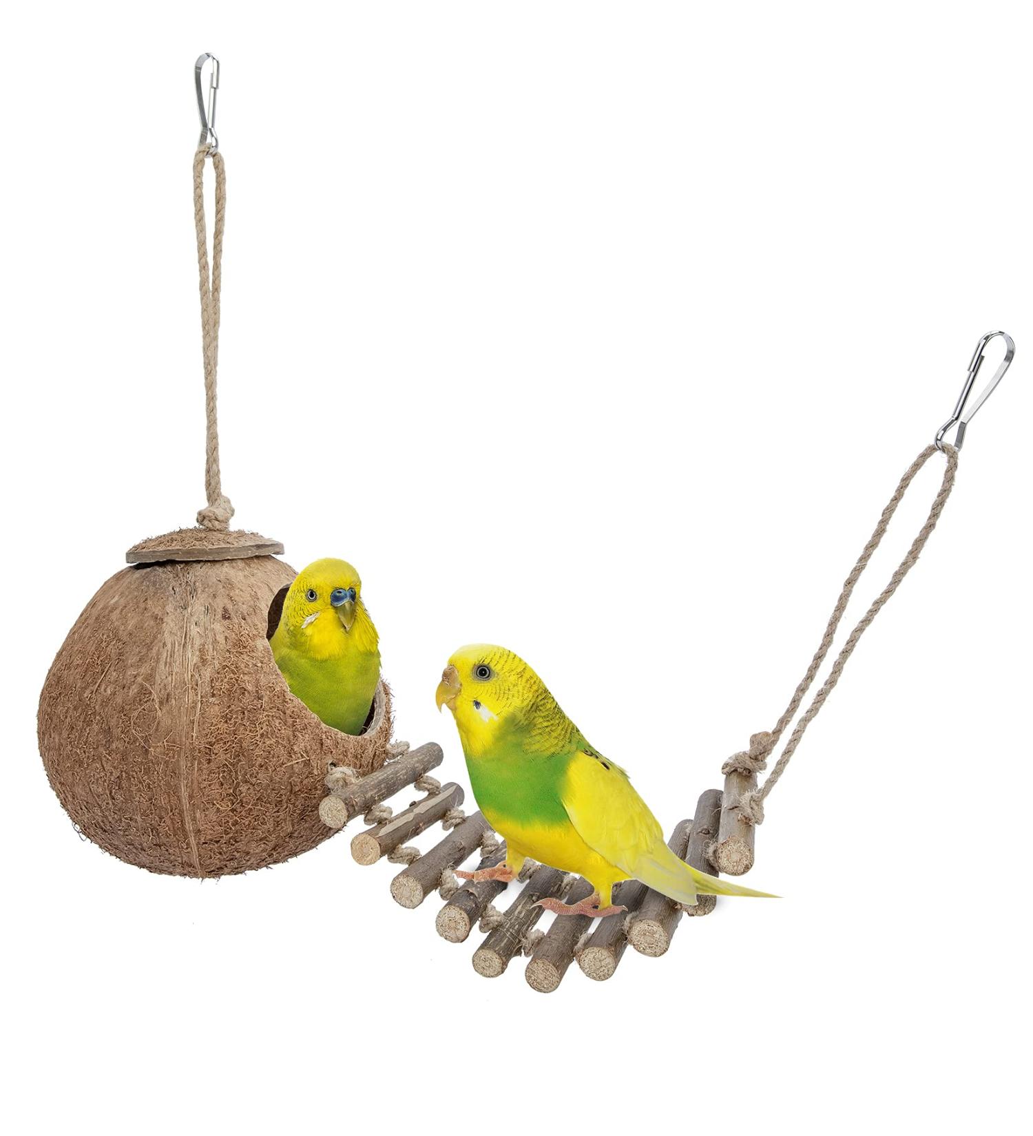 Niteangel Natural Bird Nests Coconut Hideaway with Ladder Bird and Small Animal Toy (House with Ladder Natural Surface) House with Ladder Natural Surface - Buy Online on SooperMarket.com