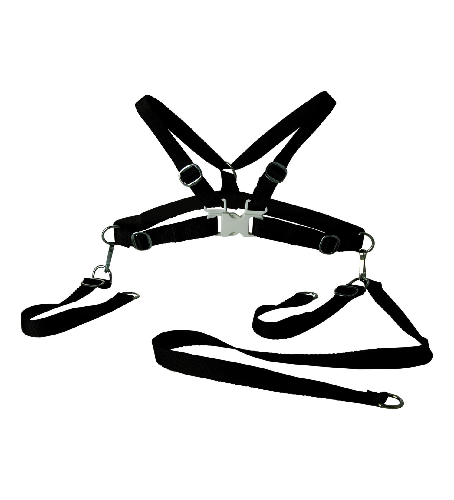 Sunnybaby 10066 - Child safety belt textile black
