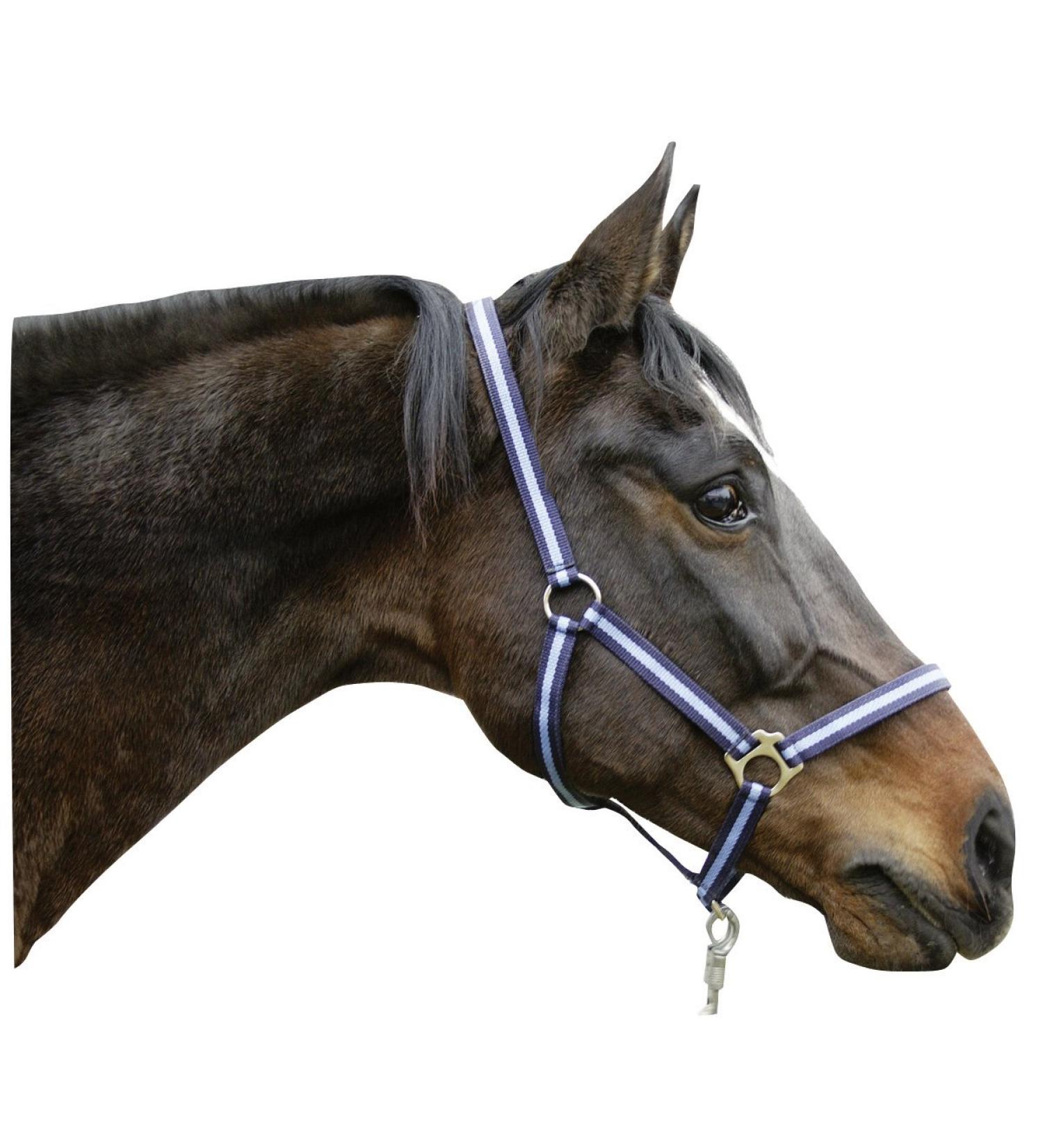 Kerbl Nylon Halter Hippo Nylon Halter for Pony Shetty Full Cob XFull 6 Colors Size 3 Blue