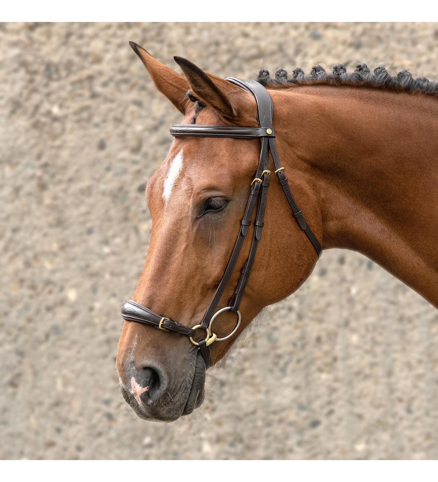 Buy SUNRIDE Hanoverian Bridle with Reins - Premium Genuine Leather for Relaxed Riding (Pony Brown) - International Shipping Available - Buy Online on SooperMarket.com
