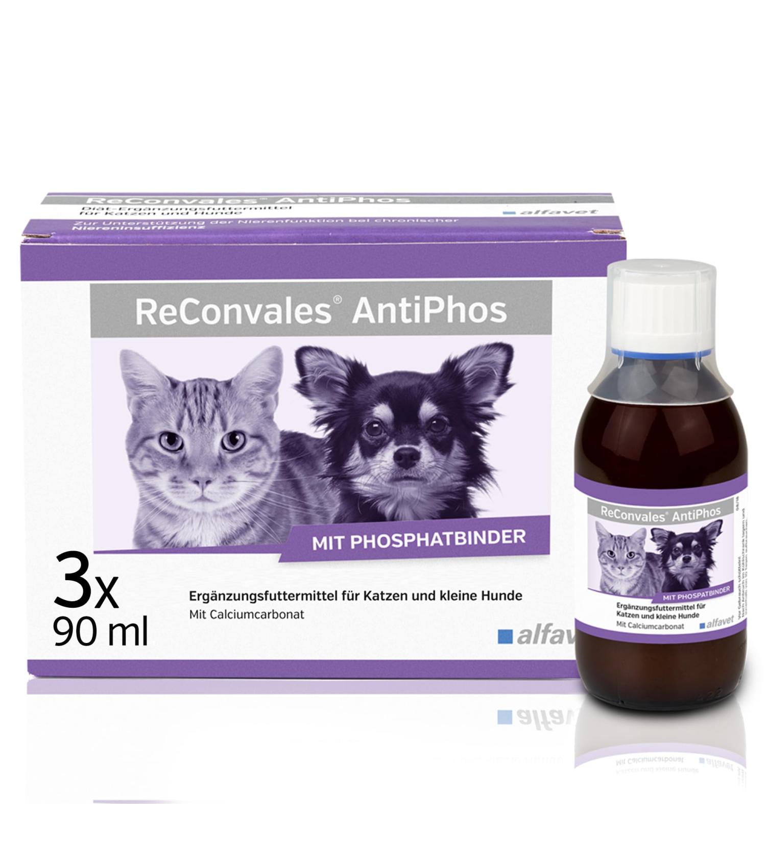 Alfavet Reconvales Antiphos - Kidney Support for Cats & Dogs | Nutritional Supplements with Phosphate Binders - 3 x 90ml Bottles - Buy Online on SooperMarket.com