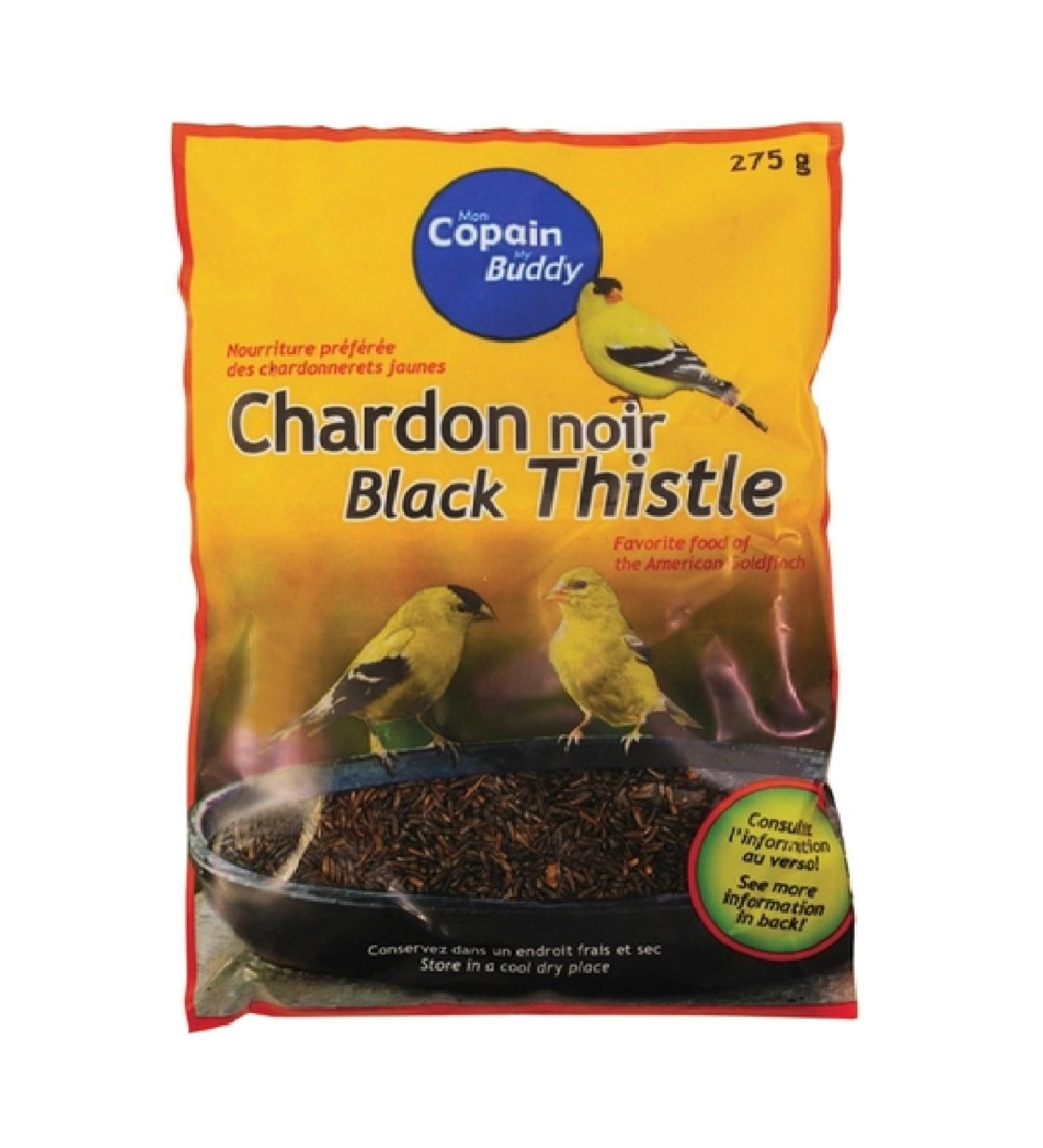 Black Thistle Seeds