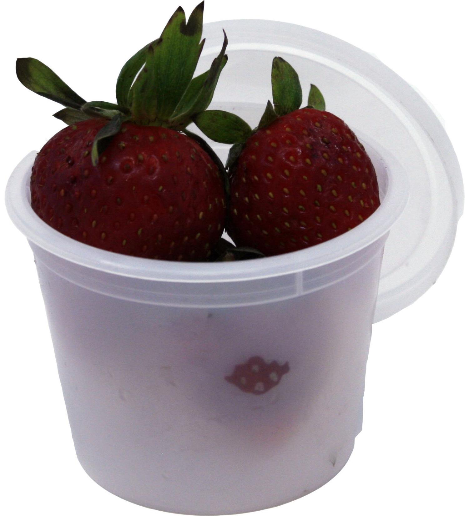 Vito's Deli Container with Lid 4oz (50 Pack) - Food Storage Solution - Buy Online on SooperMarket.com