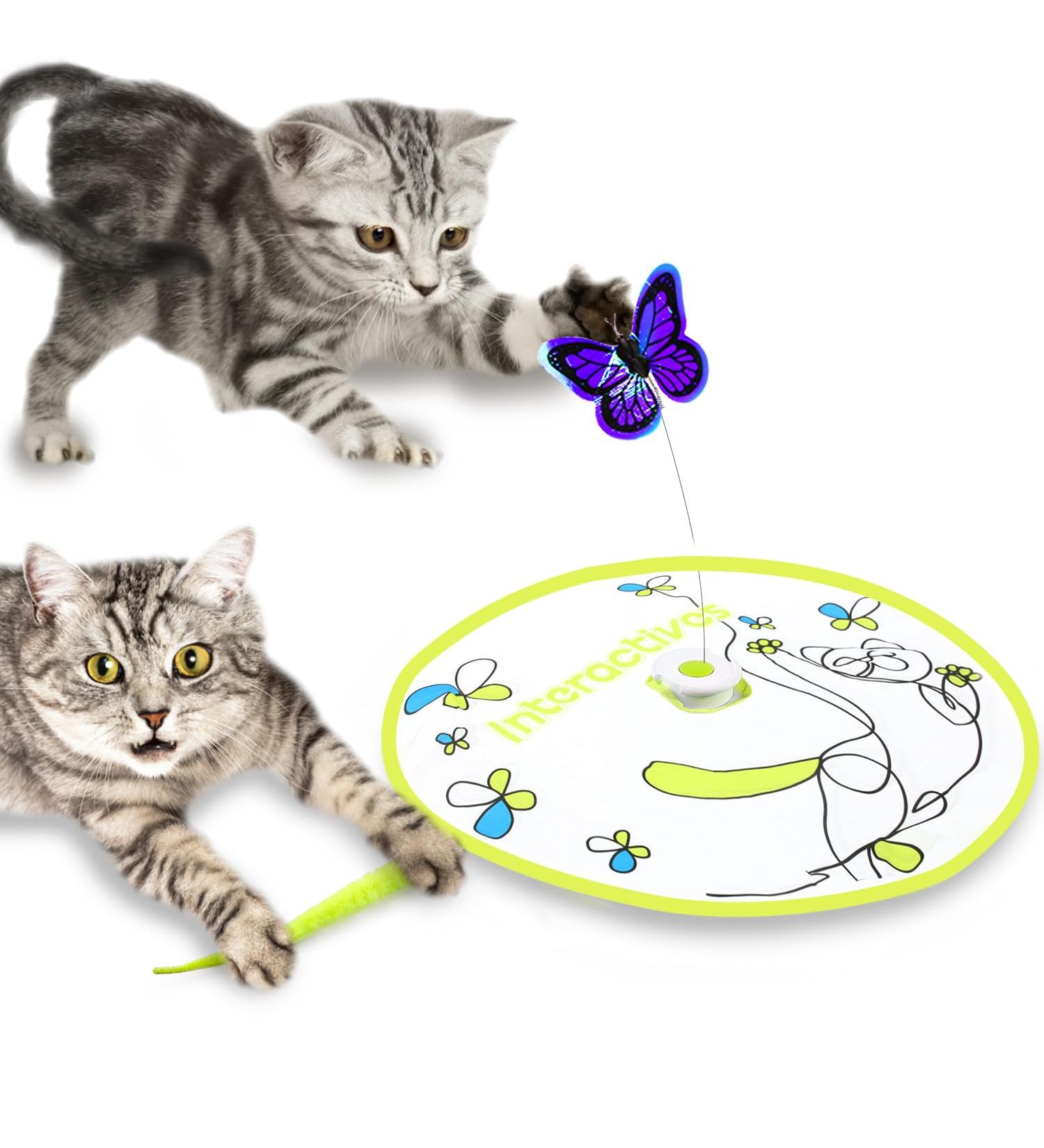 All For Paws 2 in 1 Automatic Cat Toys - Hide & Seek Flutter Bug Spinner for Indoor Cats - Buy Online on SooperMarket.com