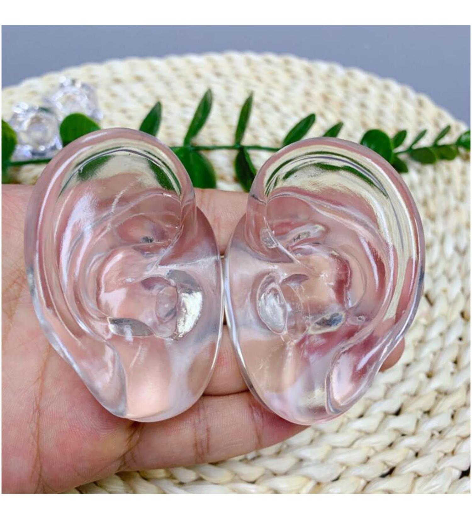 Professional Ear Model 1 Pair Artificial Practical Ear Display Simulation Fake Ear Jewelry Ear Studs Hearing Aids - Buy Online on SooperMarket.com