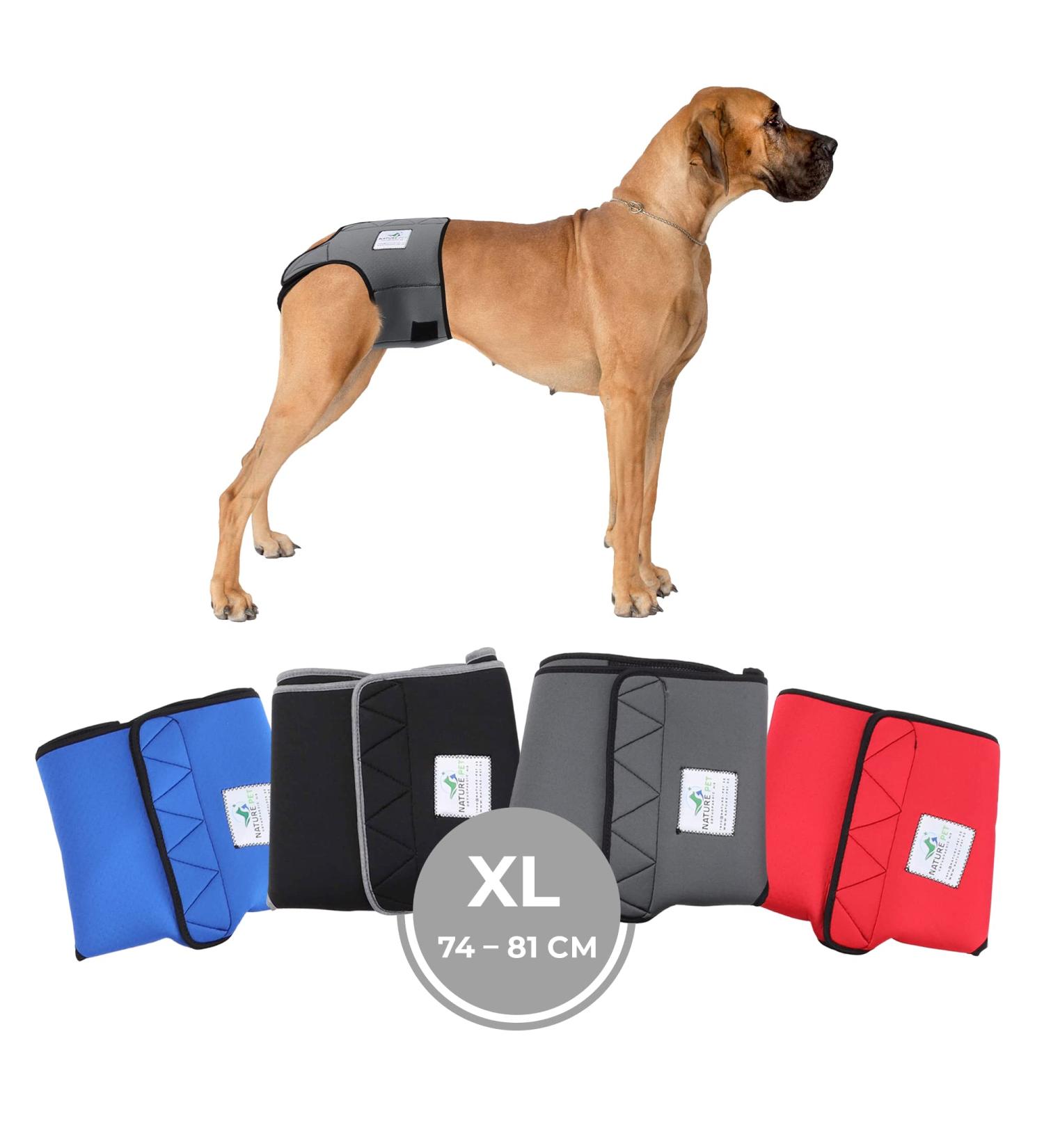 Sailing Trousers for Dogs 2.0 - High-Quality Neoprene Diapers for Males (XL Gray) | Optimal Airflow Comfort & No Rod Threading - Buy Online on SooperMarket.com