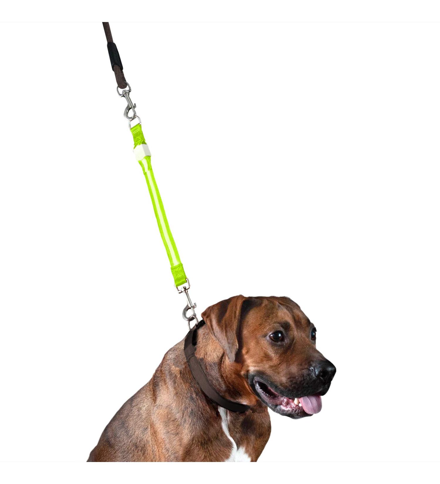 Furhaven Pet Hands-Free Bungee Dog Leash with LED Collar and Safety Features - Multiple Colors and Sizes - Buy Online on SooperMarket.com