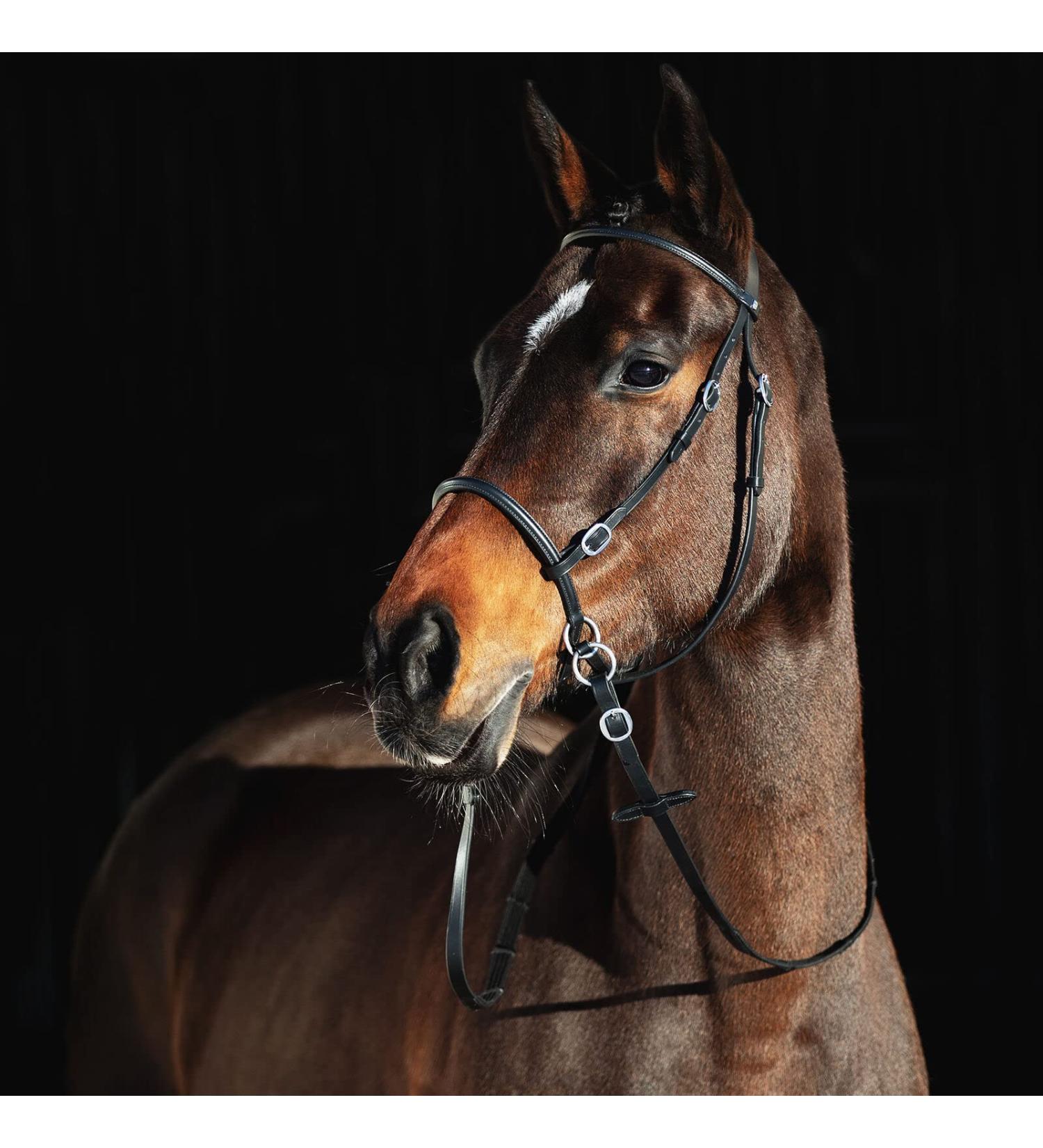 HORZE Genuine Leather Cross-Under Bitless Bridle with Web Reins - Black US Horse - Buy Online on SooperMarket.com