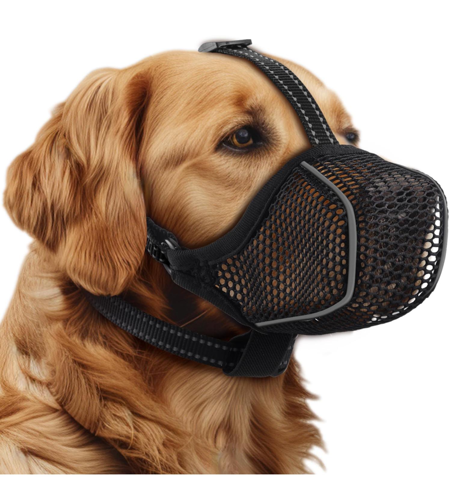 BONTHEE Dog Muzzle Mesh Soft Muzzle for Small Medium Large Sized Dogs Breathable Reflective Adjustable Puppy Muzzles with Collar for Scavenging Grooming Biting Chewing Allows Panting and Drinking XXL - Buy Online on SooperMarket.com