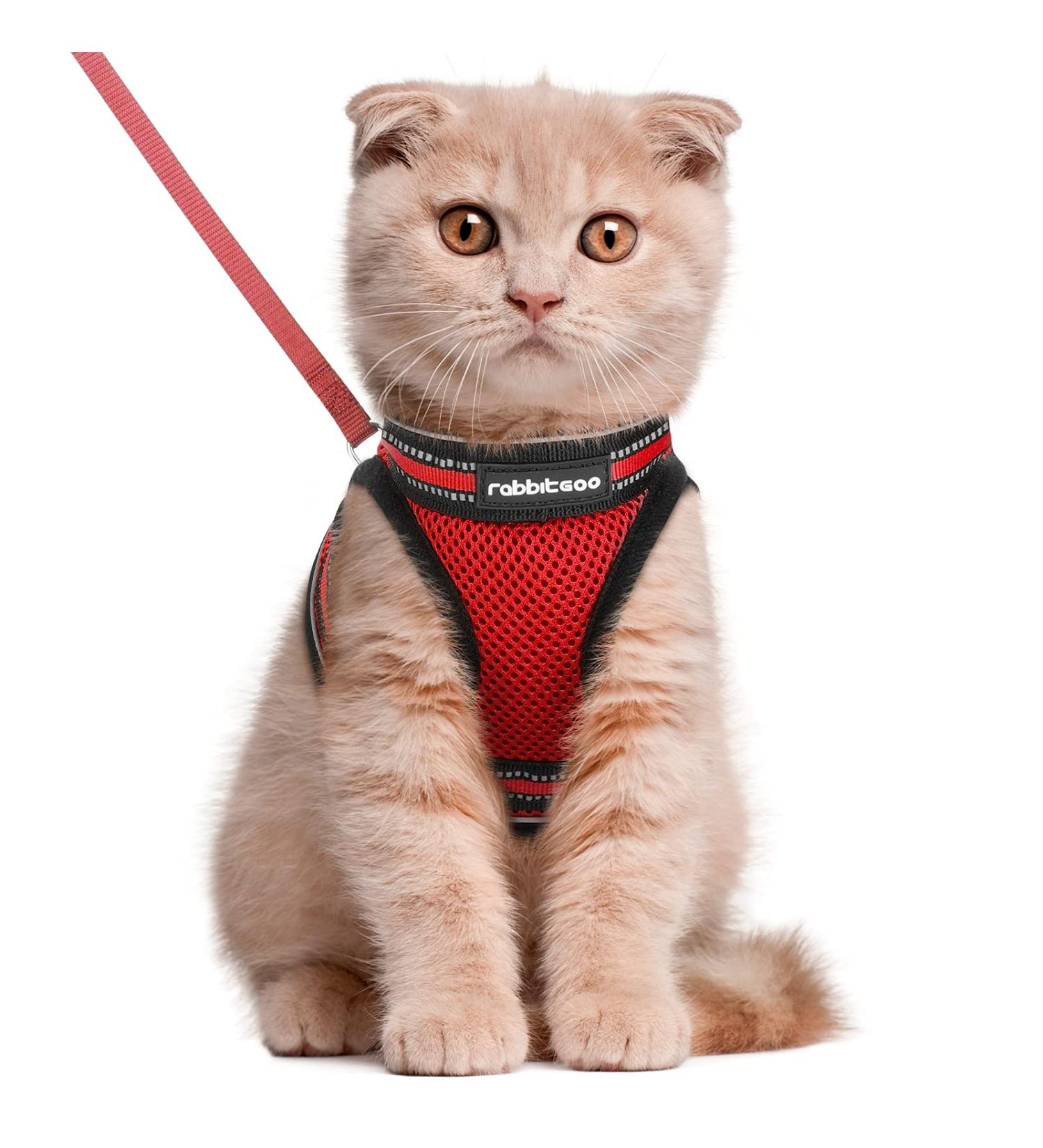 Rabbitgoo Adjustable Cat Harness & Leash Set - Reflective Soft Strap for Cats & Kittens - Red (1 Pack) - Ideal for International Shipping - Buy Online on SooperMarket.com