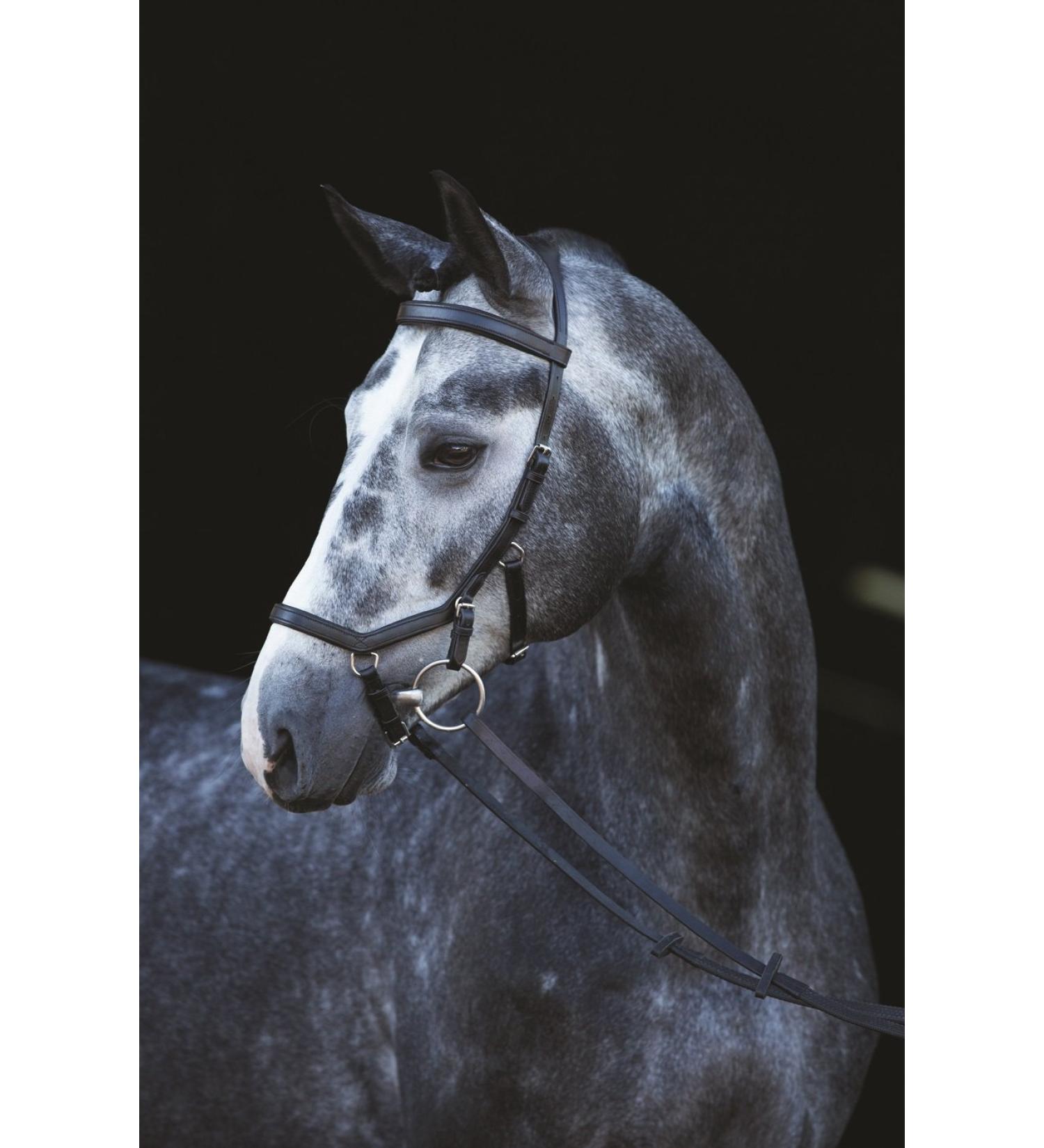 Ireland Rambo Micklem Competition Bridle Black Pony