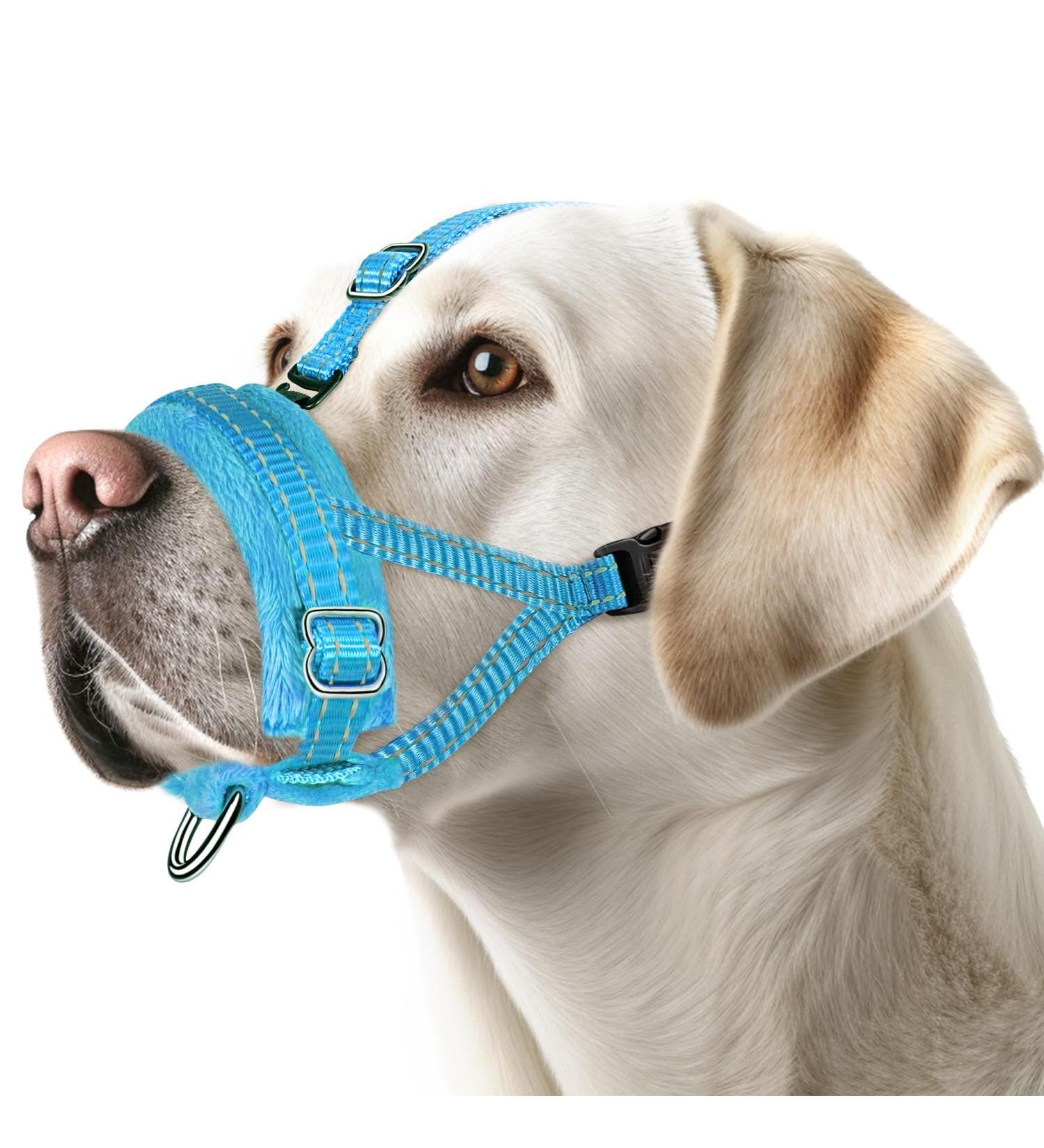 Adjustable Reflective Eyin Muzzle for Large Dogs - XL Blue | Comfortable Safe Prevent Biting & Barking Allows Panting & Drinking - Buy Online on SooperMarket.com
