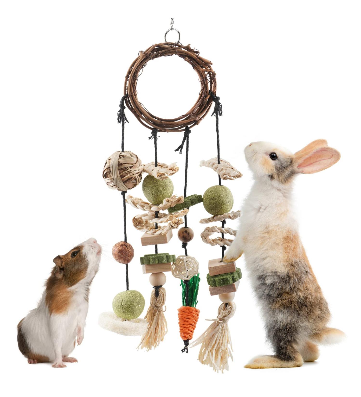 ERKOON Rabbit Hamster Hanging Chew Toys - Applewood Boredom Breaker with Grass Ball and Carrot Treats for Small Pets - Buy Online on SooperMarket.com