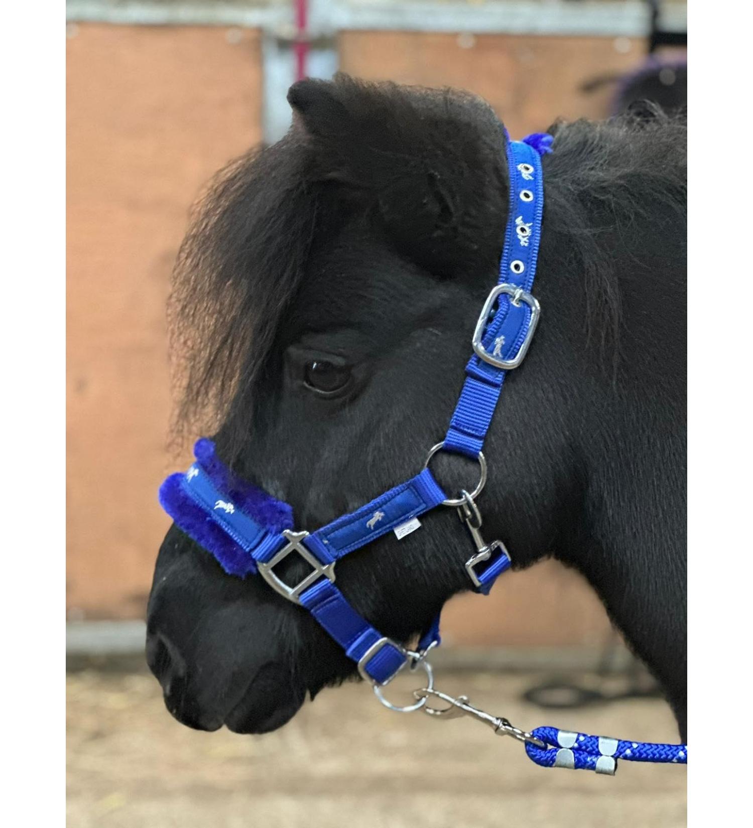 Equipride Horse Print Fur Padded Nylon Headcollars with Lead Rope Royal Blue (Mini Shetland) Royal Blue Mini Shetland - Buy Online on SooperMarket.com