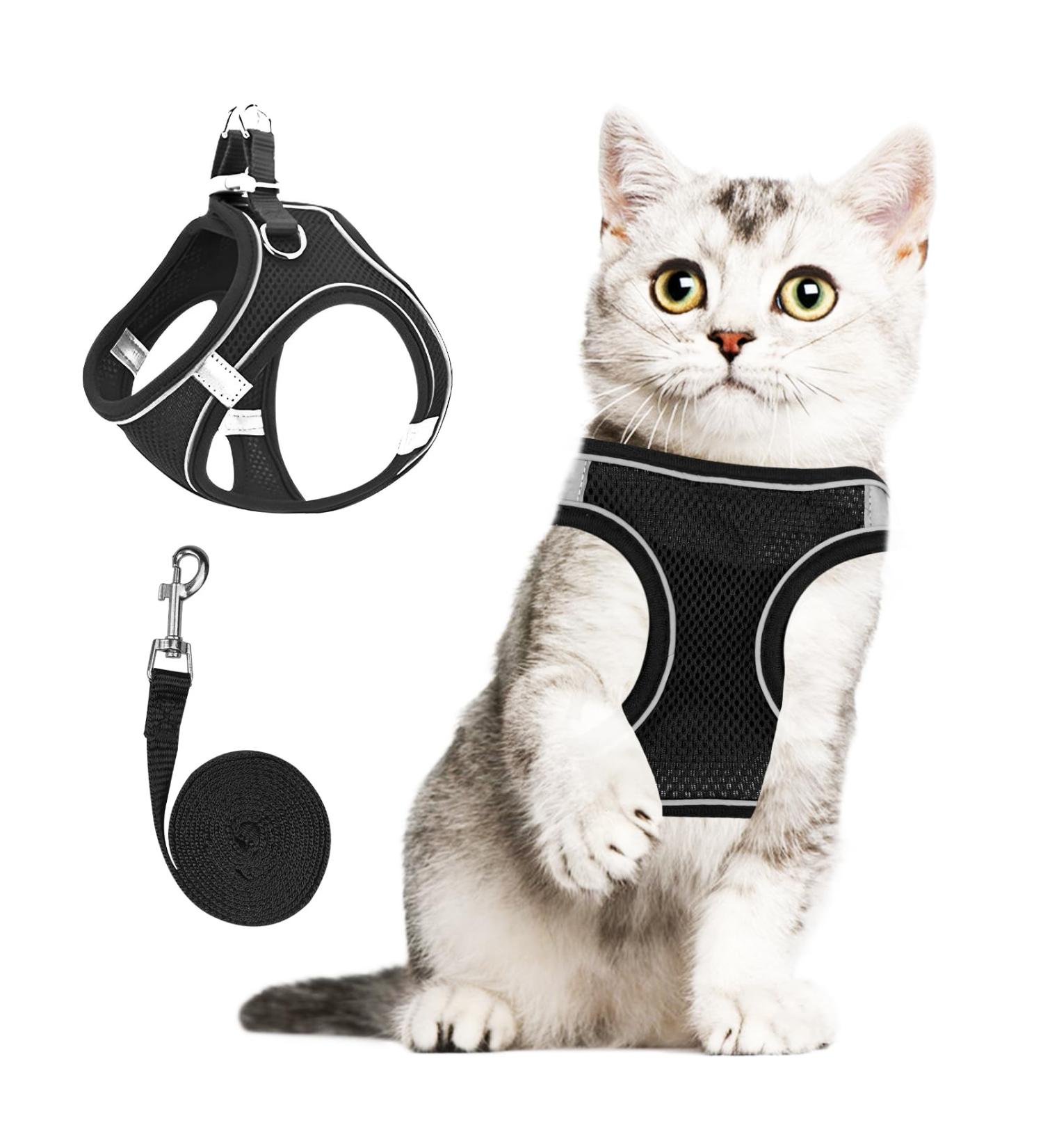 Frevoitna Cat Dishes with Leash - Adjustable Cat Harness Reflective & Breathable - Ideal for Walks (Black XS) - International Shipping Available - Buy Online on SooperMarket.com