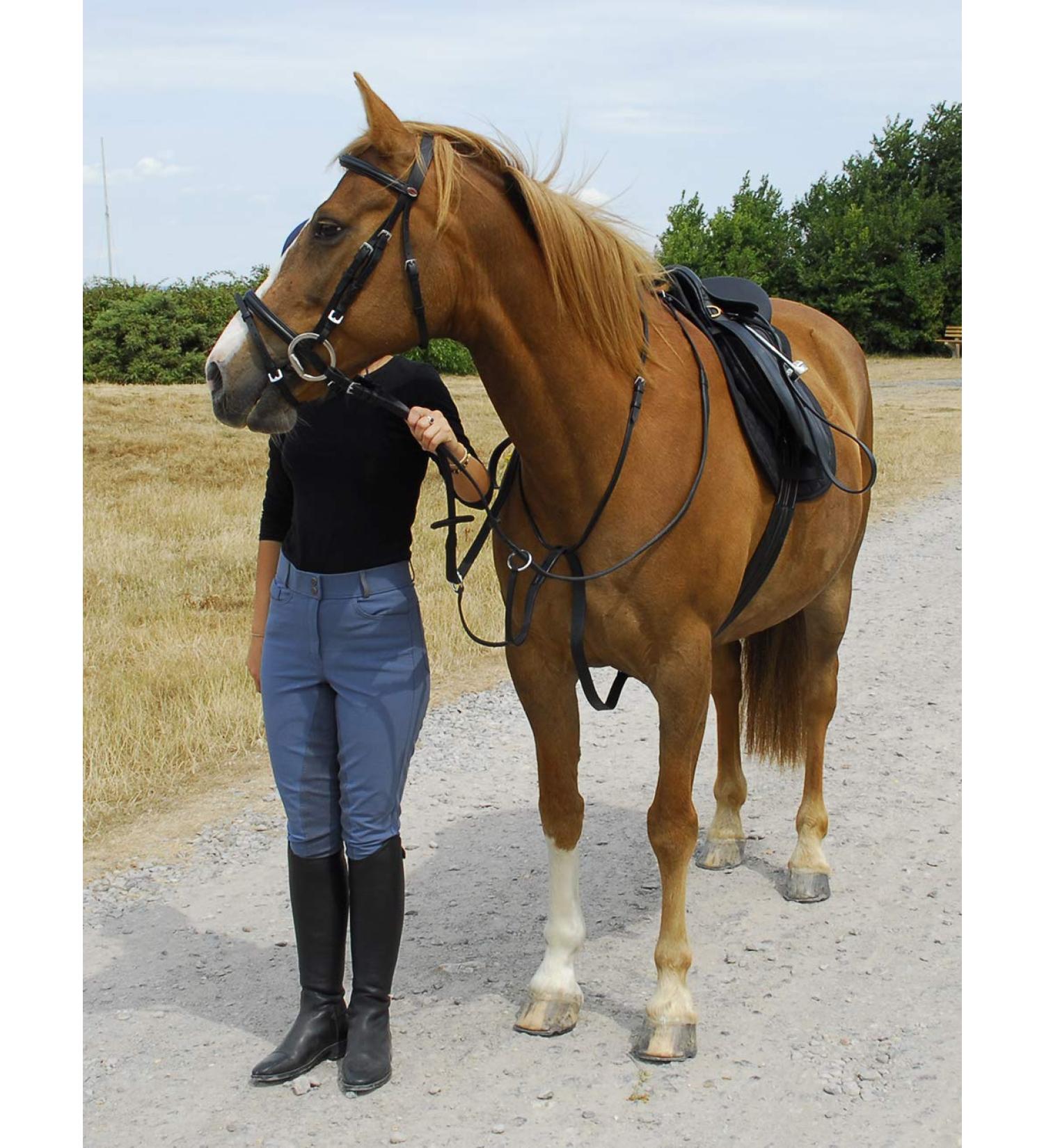 Windsor Equestrian Leather Running Martingale Havana Cob