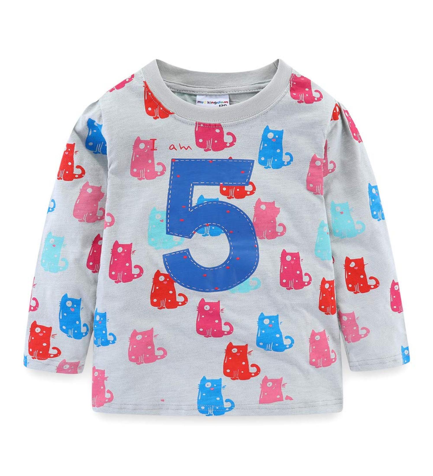 Mud Kingdom Cute Cartoon Birthday Shirt for 5 Year Old Girls - Long Sleeve Gray Shirt for Boys - Kids Fashion - Buy Online on SooperMarket.com