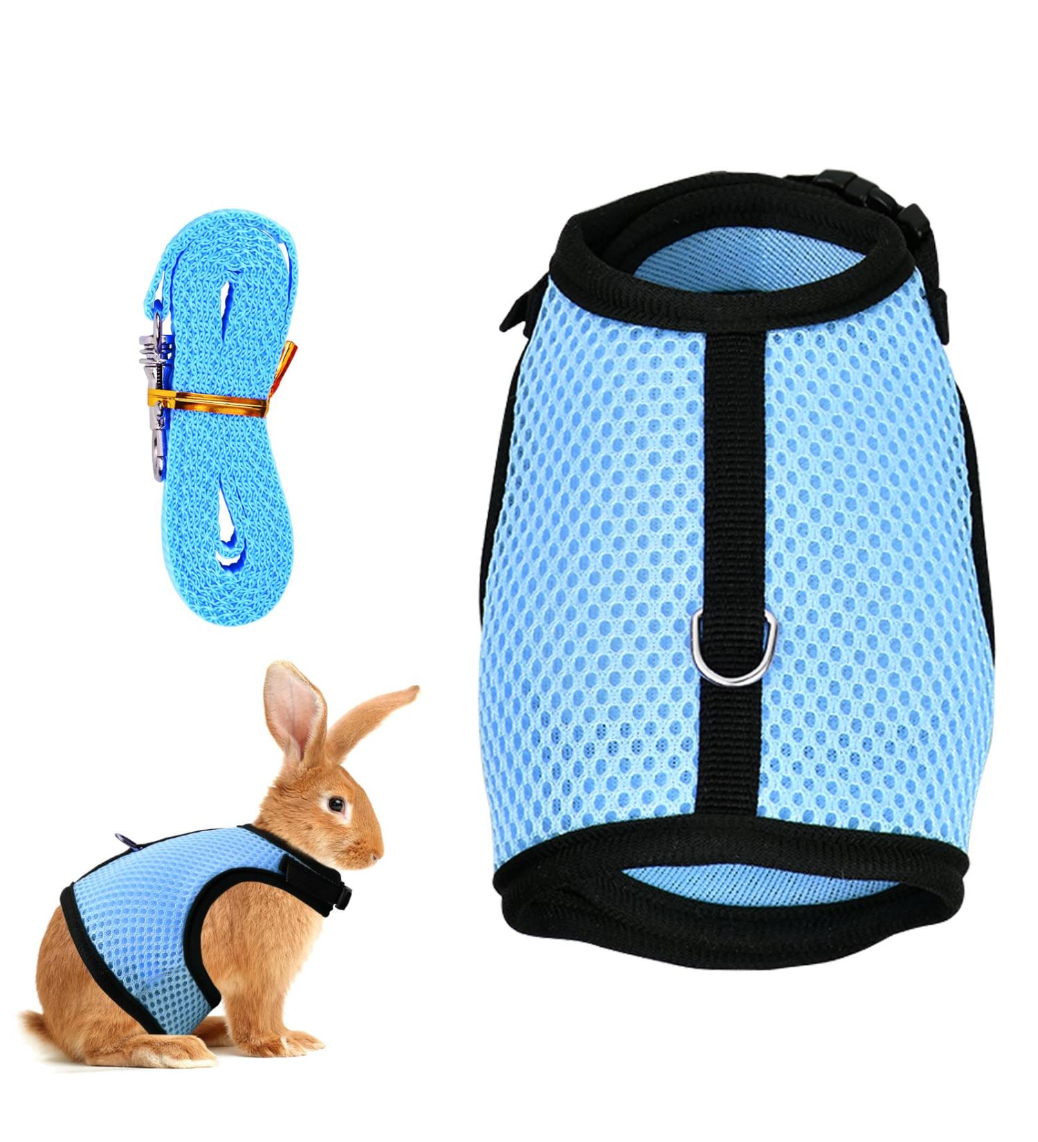 Tibapla Adjustable Rabbit Dishes & Leash for Small Pets - Mesh Bunny & Kitty Dish (Medium Blue) - Buy Online on SooperMarket.com