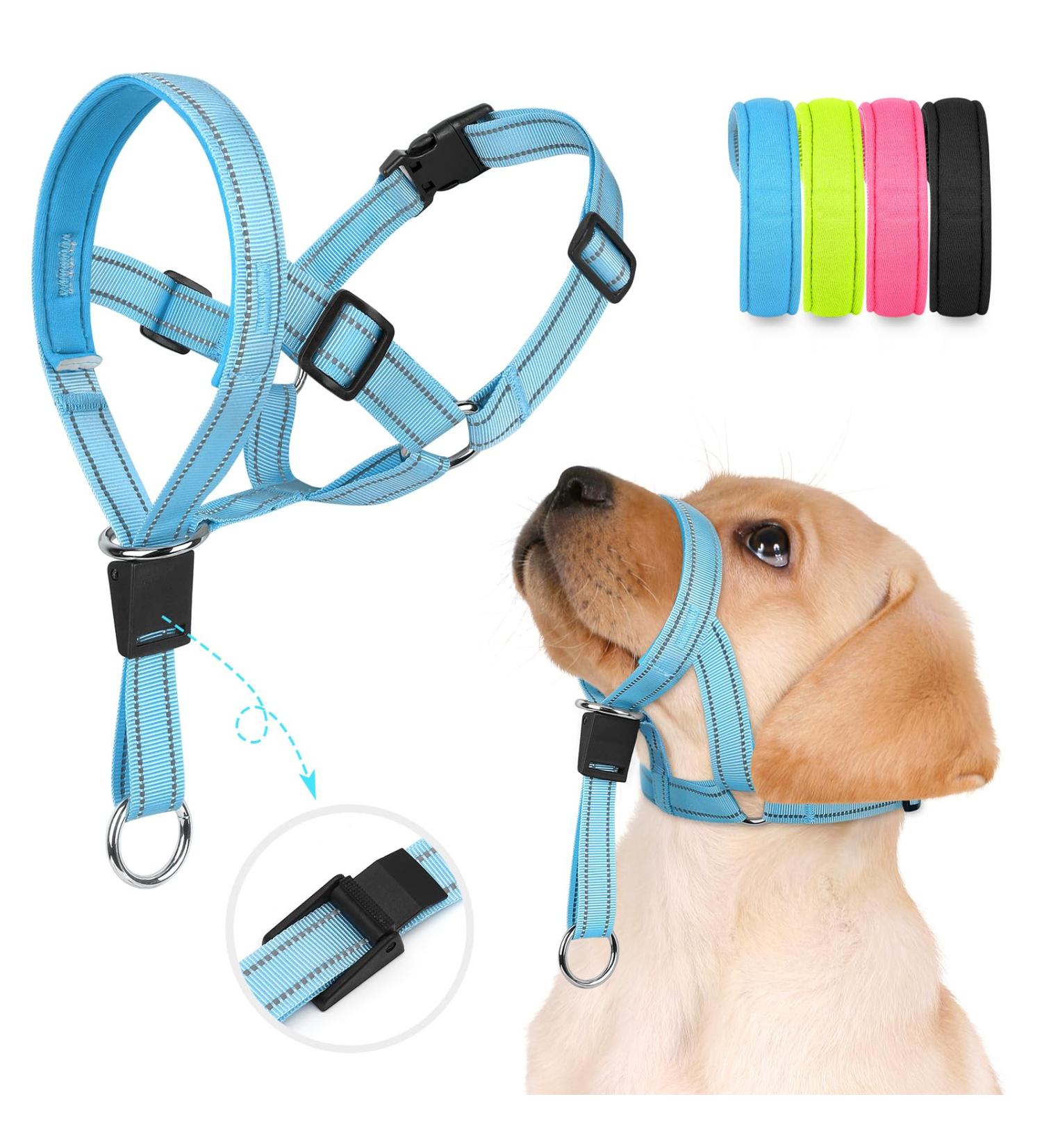 Weesiber Soft Dog Collar - Adjustable Padded Halter with Reflective Safety Strips for Small Dogs | No Pulling Perfect for Training & Walking (Blue) - Buy Online on SooperMarket.com