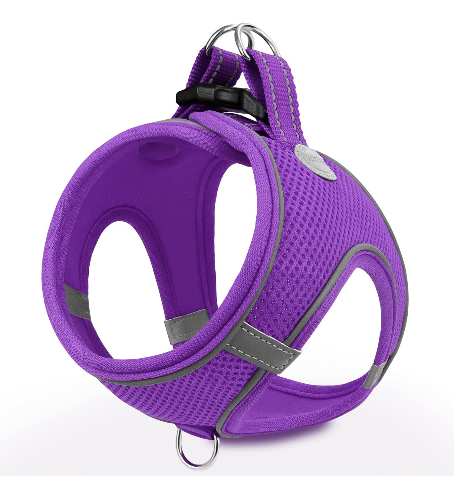 Joyal Dog Harness - Reflective Soft Padded Air-Mesh for Small Dogs & Cats XXS (31-34cm) - Purple - Buy Online on SooperMarket.com