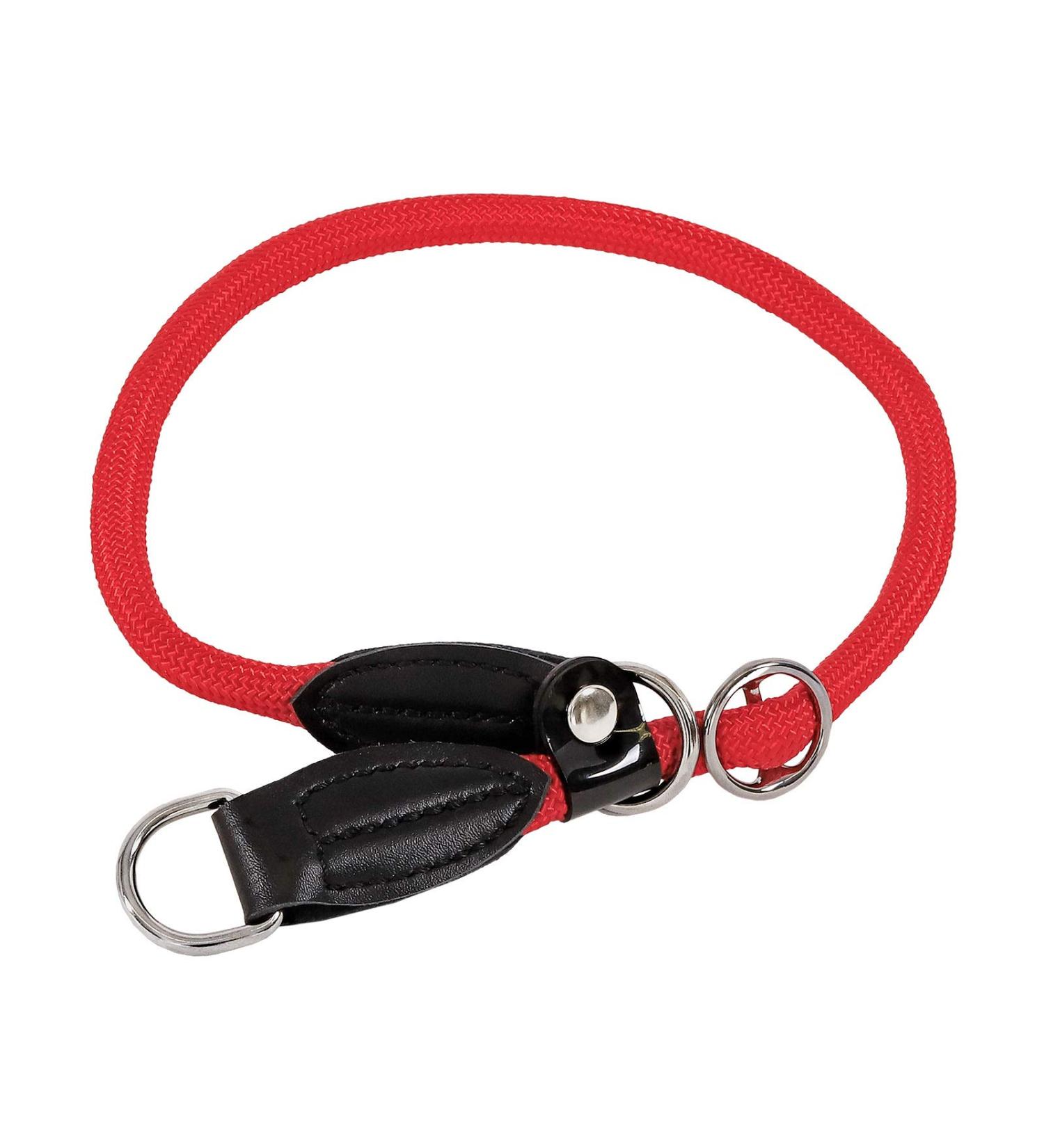 Lionto Dog Collar for Retrievers - 45 cm Red Training Collar | Durable & Adjustable - Perfect for Training & Daily Use - Buy Online on SooperMarket.com