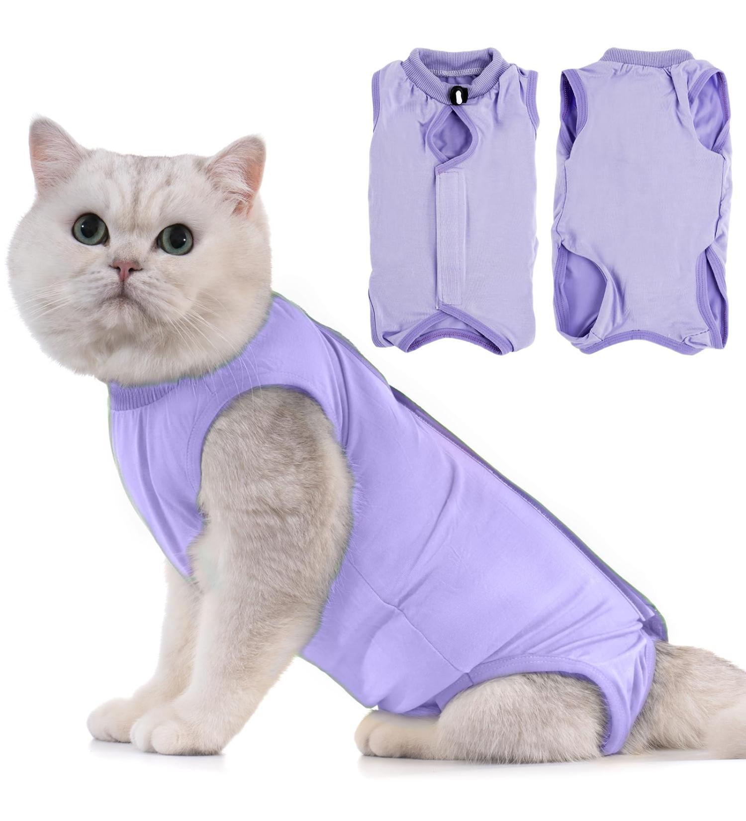 Avont Katzenbody - Post-Op Recovery Suit for Cats | Leak Protection Abdominal Wounds Skin Diseases | Size M - Lavender - Buy Online on SooperMarket.com
