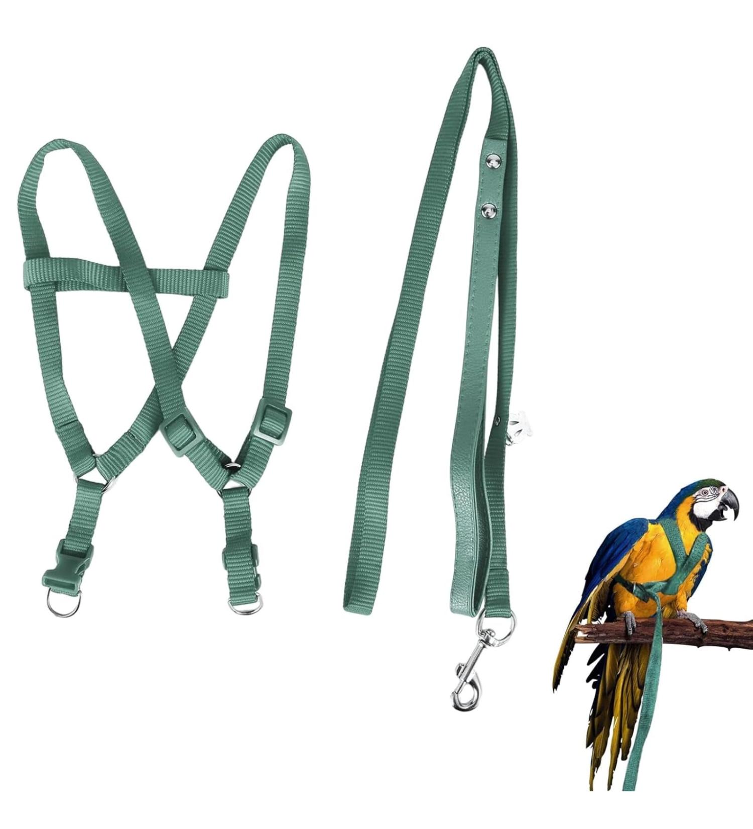 Felenny Adjustable Bird Dishes & Leash - Essential Outdoor Accessories for Scarlet Red Ara Sun Conure & Nymphensittich - Anti-Bite Large Size - Buy Online on SooperMarket.com