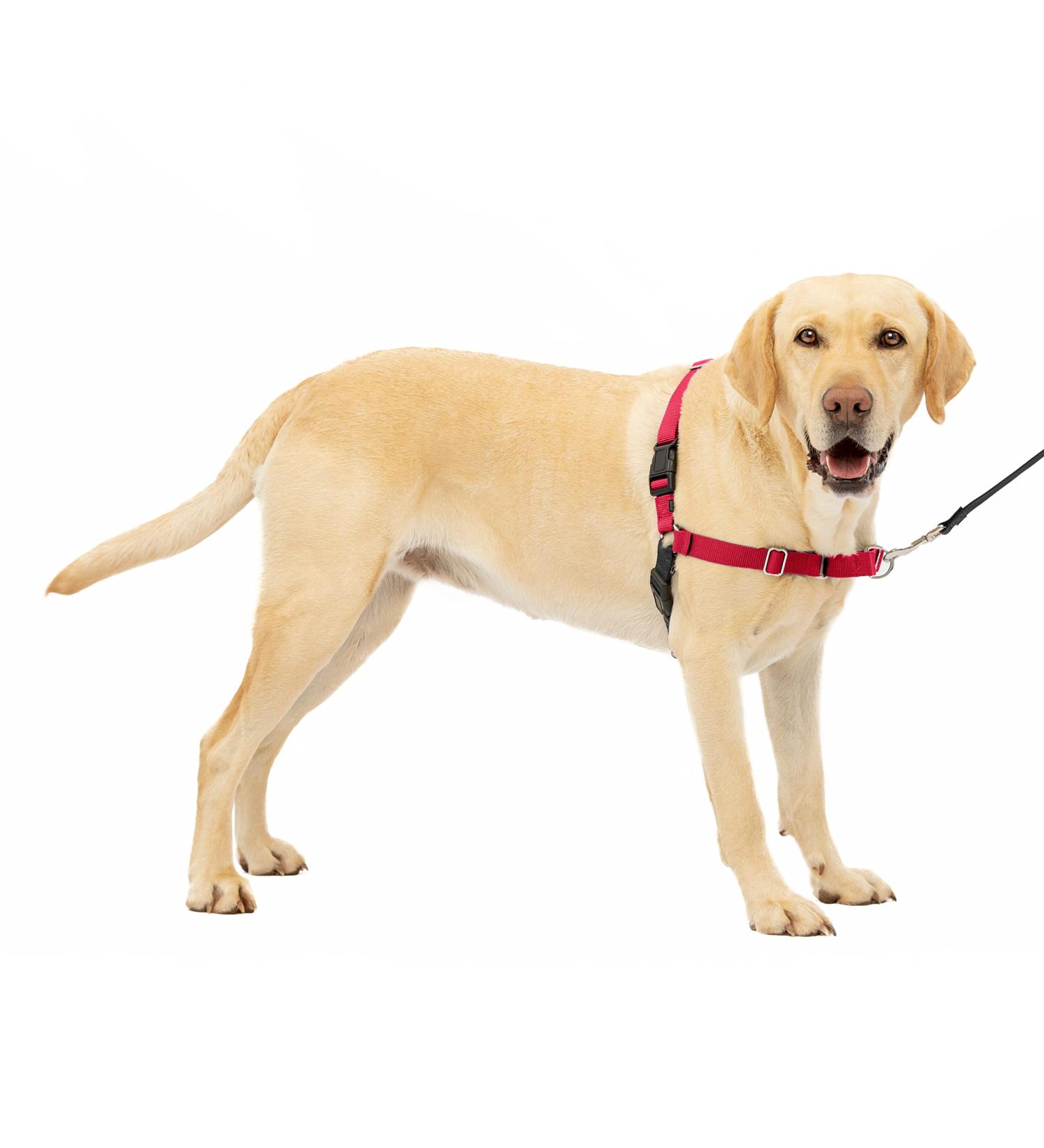 PetSafe Easy Walk Harness - Anti-Pull Dog Harness Red Size L with 1.8M Leash | Reduce Choking & Coughing | International Shipping Available - Buy Online on SooperMarket.com