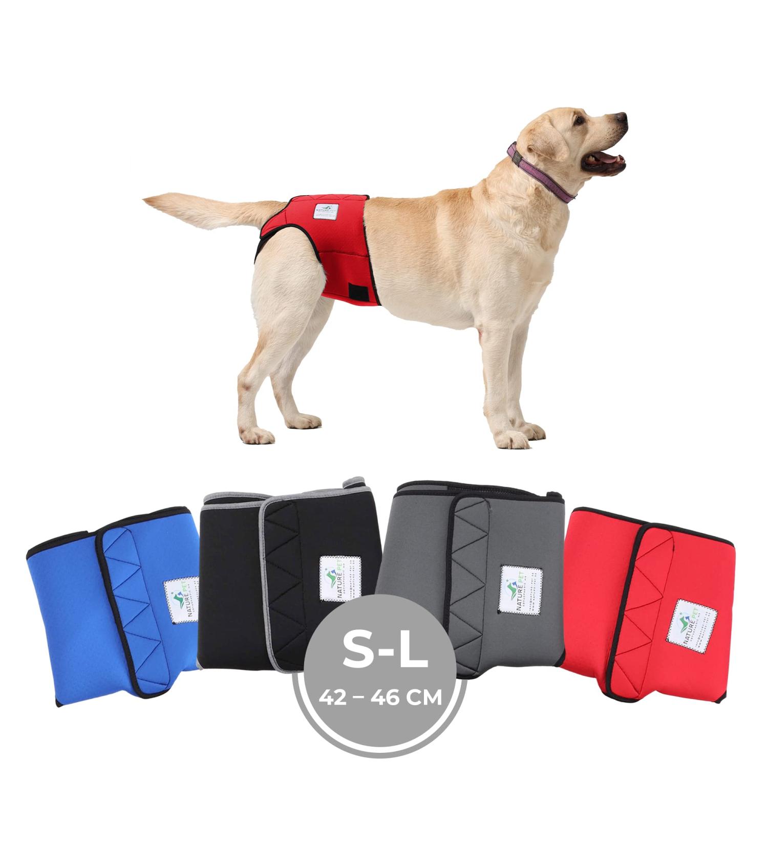Sailing Trousers for Dogs 2.0 | High-Quality Neoprene Dog Diapers | S-L Red | Optimal Airflow No Threading - Buy Online on SooperMarket.com