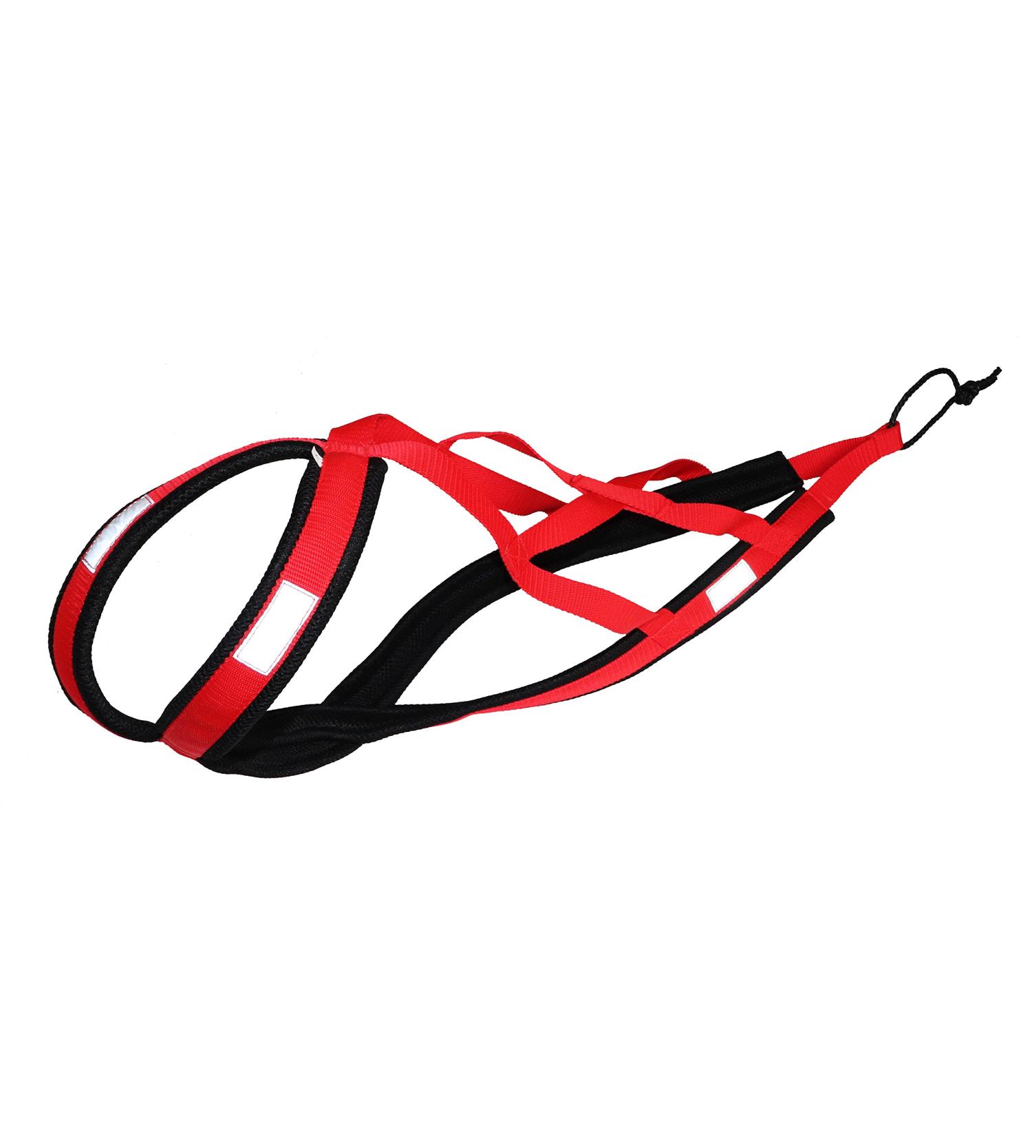 Northern Howl X-Back Dog Harness - XL Red for Canicross Bikejoring Skijoring & Dogscooting - International Shipping Available - Buy Online on SooperMarket.com