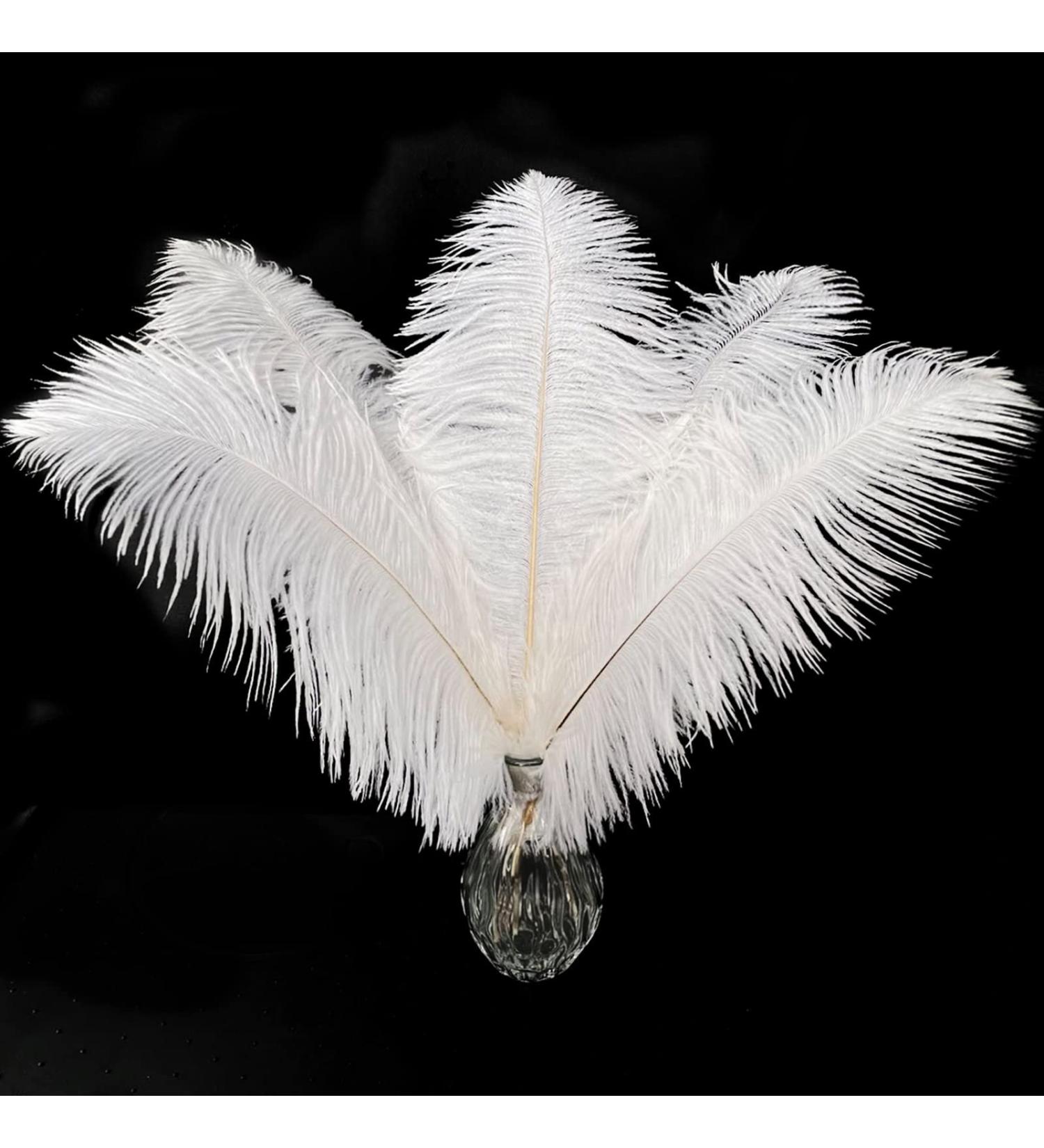 Piokio 20 pcs White Ostrich Feathers Plumes 10-12 inch | DIY Christmas & Wedding Party Decorations - Buy Online on SooperMarket.com
