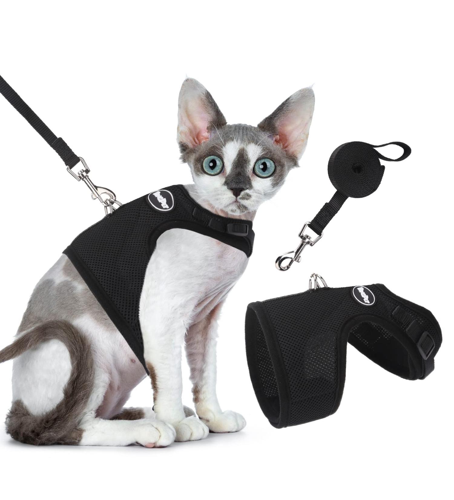 Outbreak-Proof Cat Dishes & Harnesses | Durable Cat Dish & Adjustable Harness for Cats & Small Dogs - Buy Online on SooperMarket.com