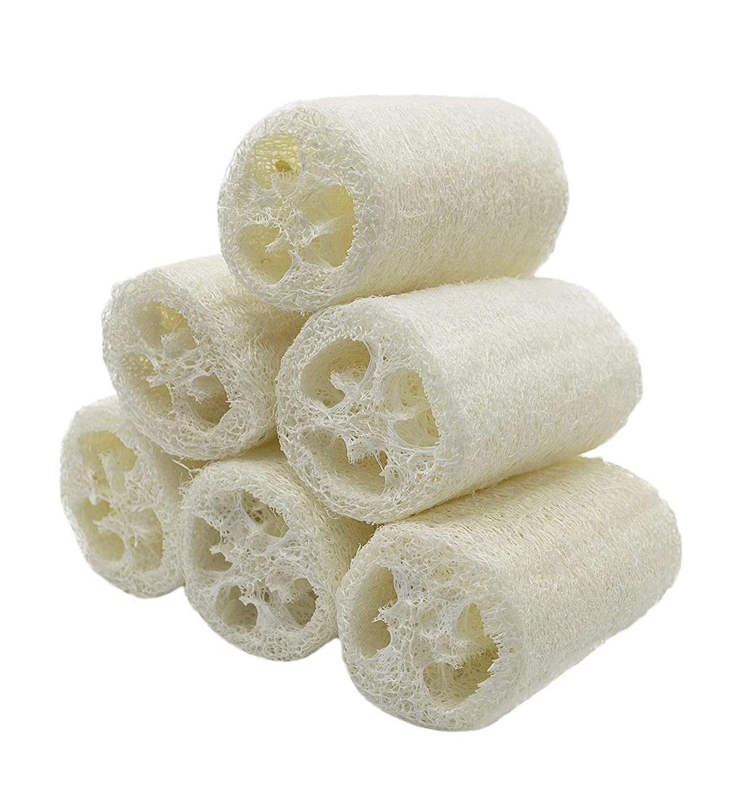 6 Pcs Natural Luffa Sponge Set - Biodegradable Luffa Sponges for Body Washing Shower Scrubs & Kitchen Cleaning - Buy Online on SooperMarket.com