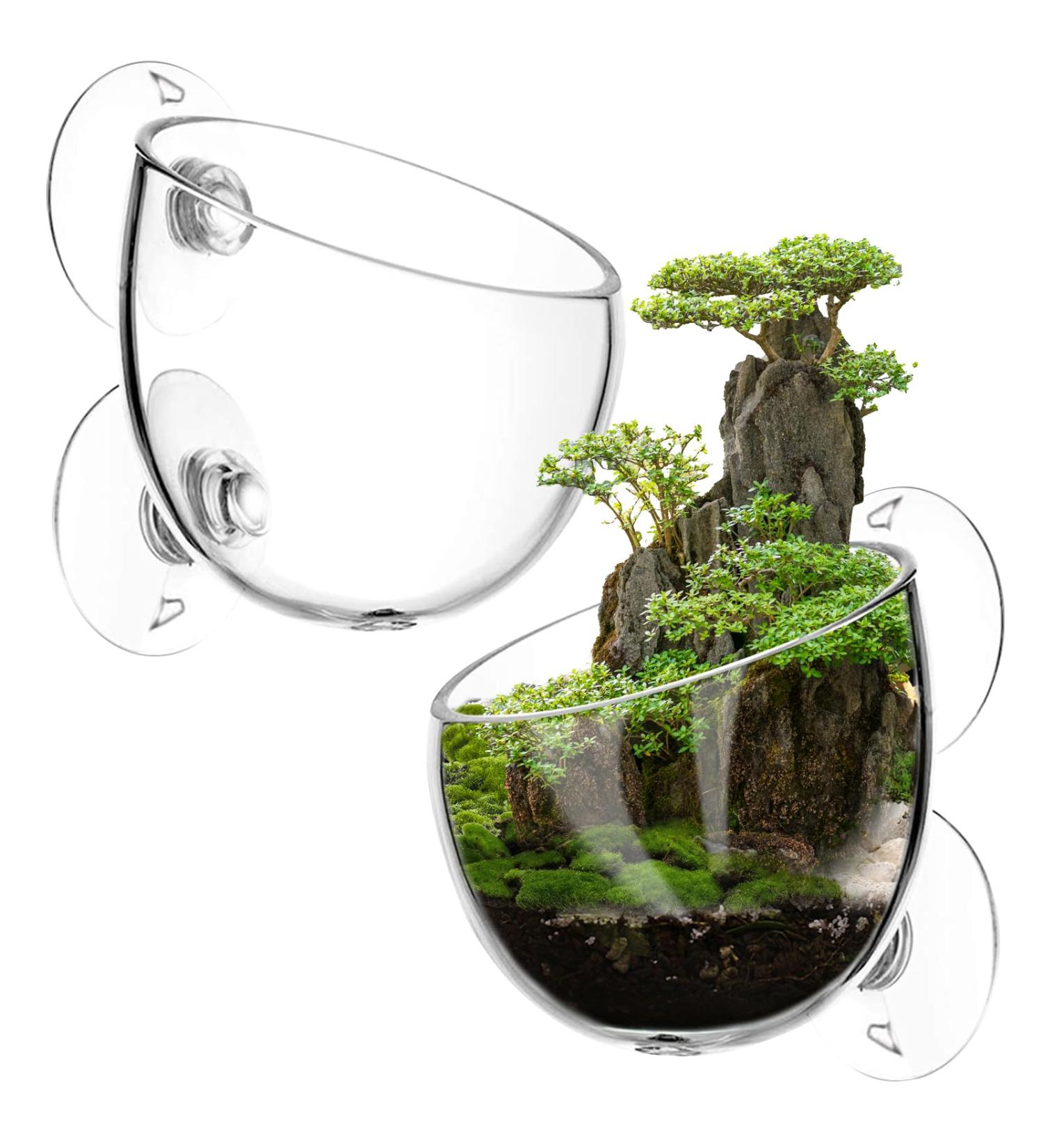 Vtinyeal Aquarium Plant Keep Cup - 2 Pieces Water Plant Pot with Suction Cups | Aqua Decoration & Accessories - Buy Online on SooperMarket.com