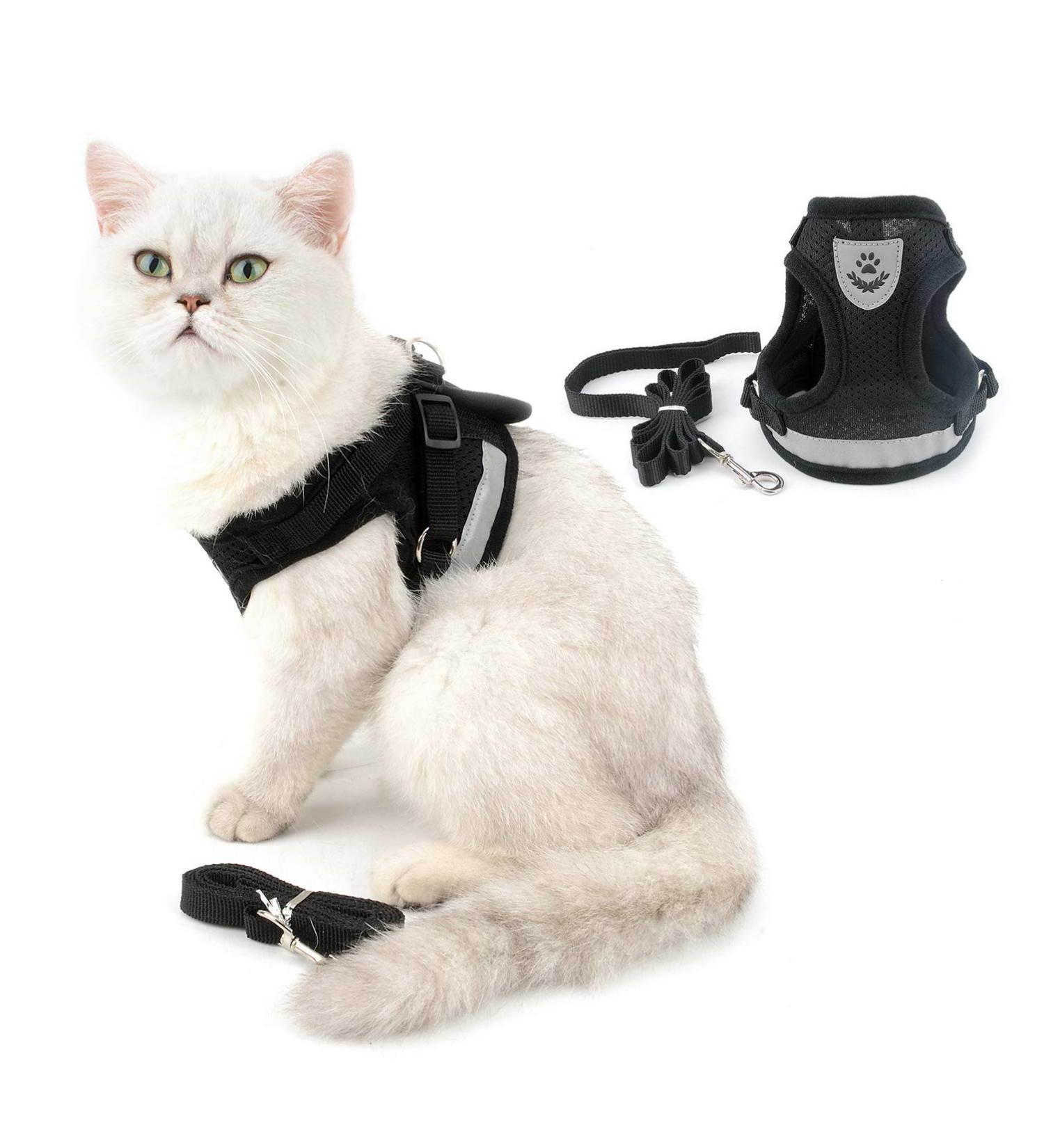 Ranphy Cat Dishes & Leash Set - Break-Proof Reflective Chest Harness for Small & Adult Cats - Soft Fabric Black Size L (Chest 44 cm) - Buy Online on SooperMarket.com
