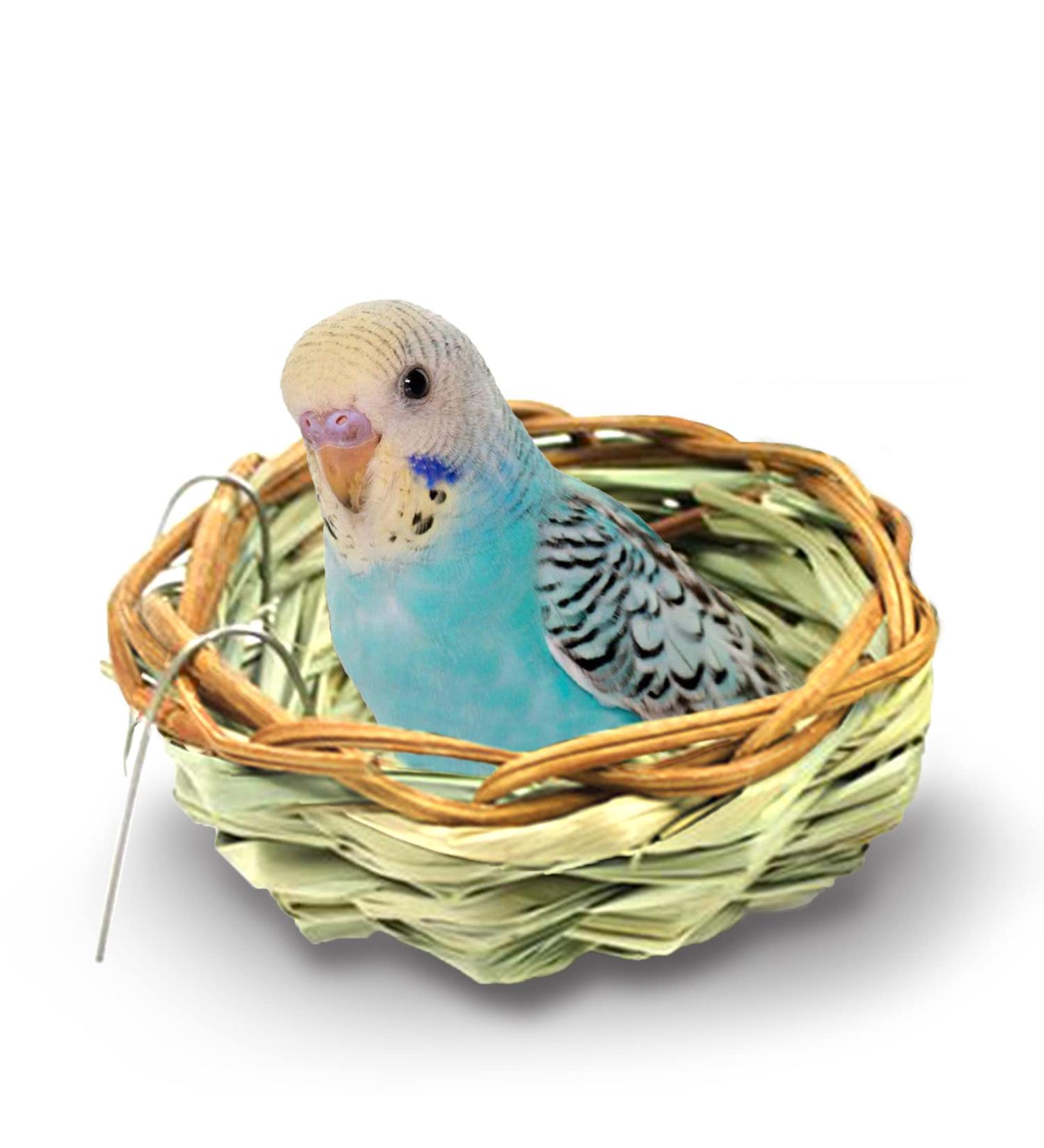 SunGrow Birds Nest for Finch, Canary, Pigeon, Parakeet - Encourages Courtship, Breeding, Nesting - Buy Online on SooperMarket.com