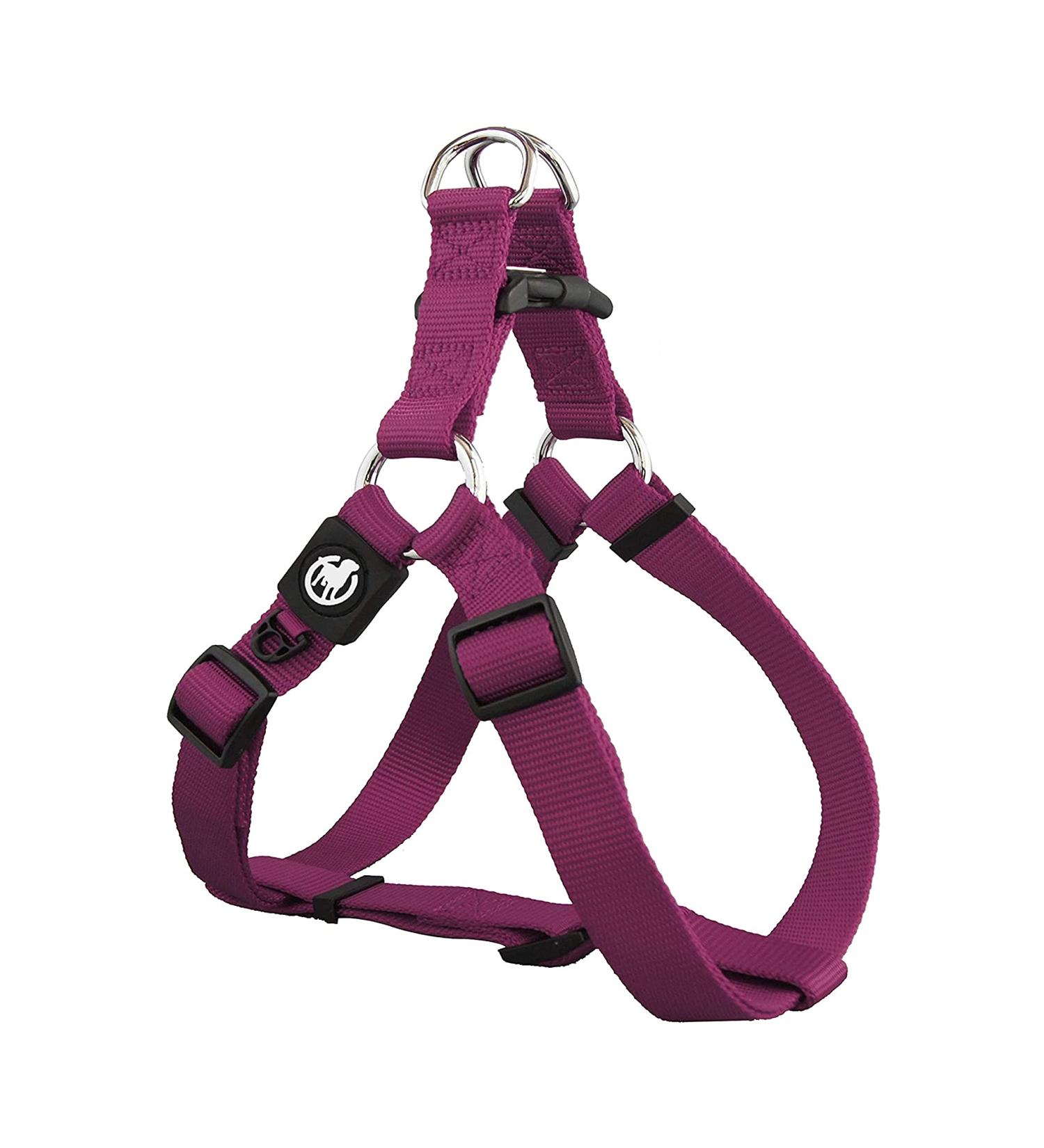 Buy DDOXX Nylon Step-In Dog Harness - Adjustable Purple Puppy Harness | All Sizes Available | Size S (45-63 cm) - International Shipping - Buy Online on SooperMarket.com