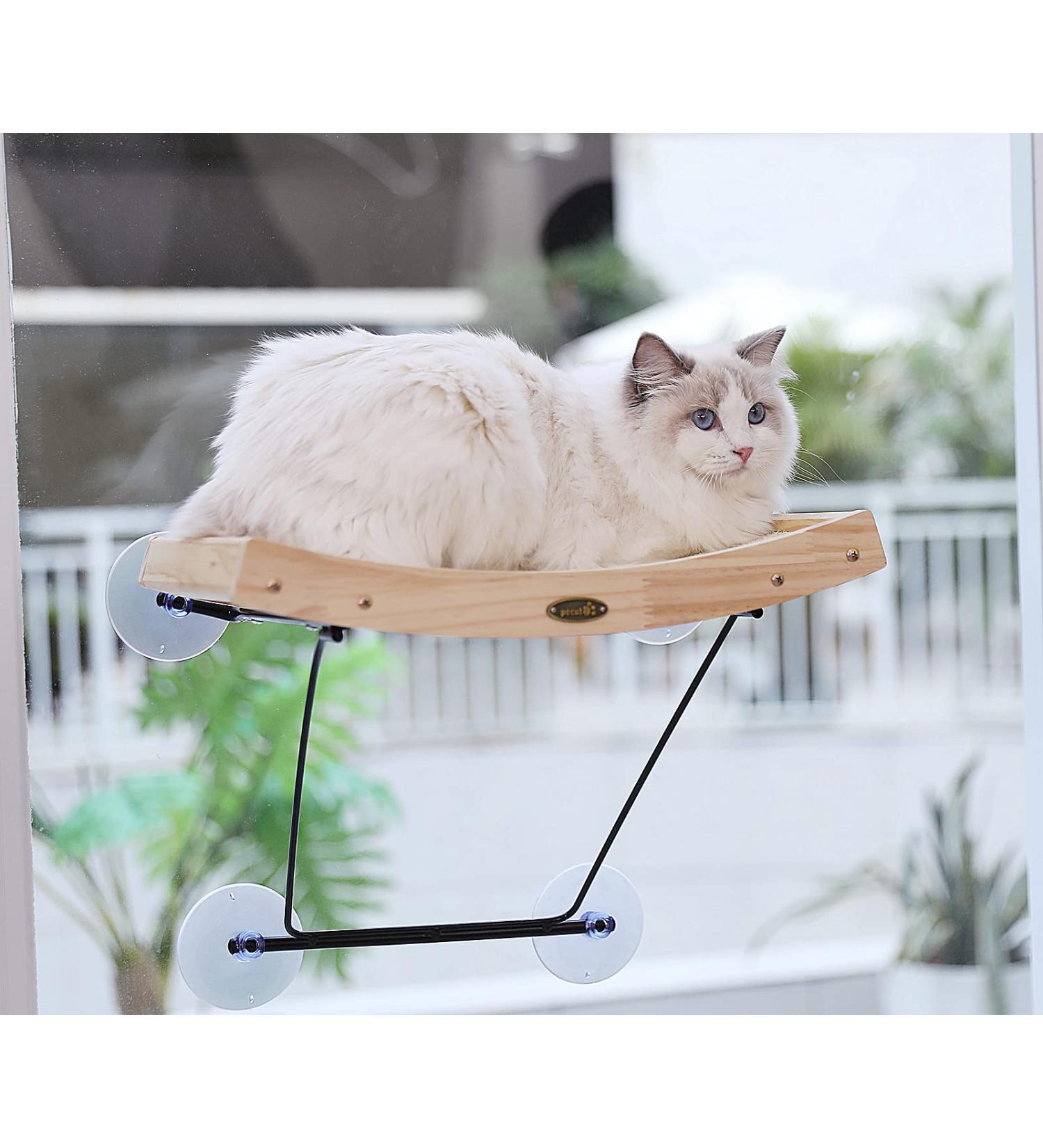 Pecute Cat Window Perch Sisal Scratcher 2-in-1 Hammock Seat | Heavy-Duty Suction Cups | Holds up to 30lbs - Buy Online on SooperMarket.com