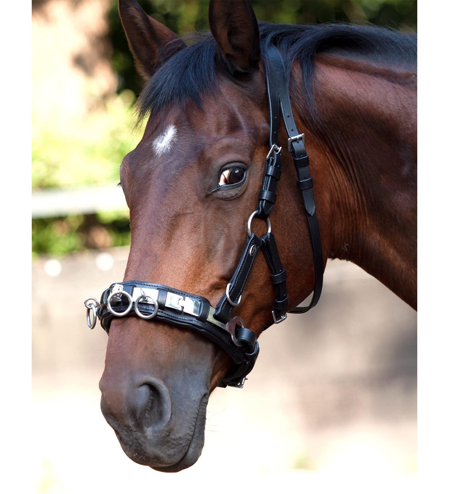 Heinick-Reitsport Professional Leather Cavesson - Black Stainless Steel Bit Strap Nosepiece for Thoroughbreds | International Shipping Available - Buy Online on SooperMarket.com