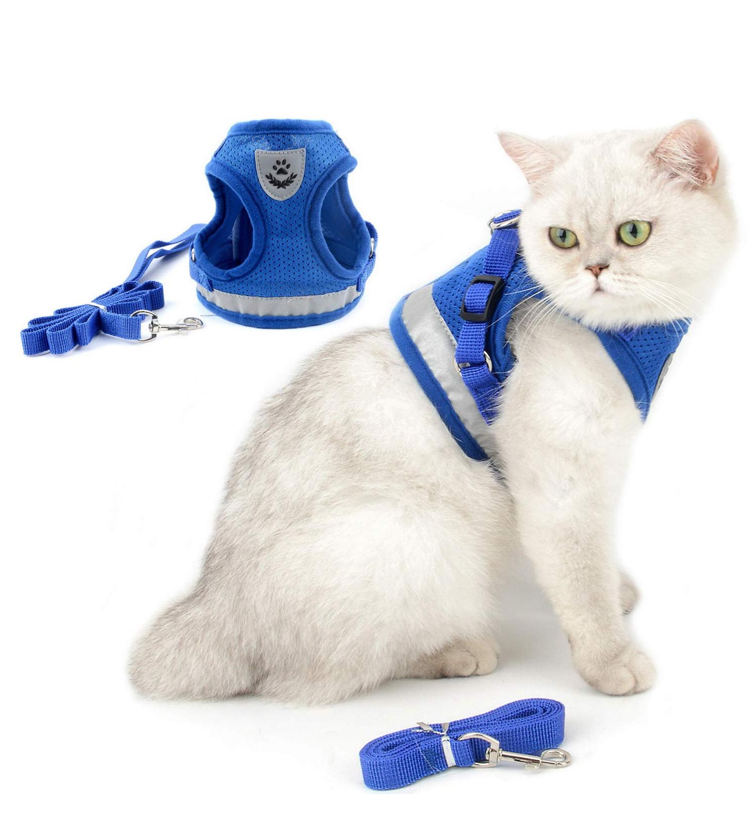 Ranphy Cat Dishes with Leash - Soft Fabric Harness & Breakable Paddle for Small & Adult Cats - Blue - Buy Online on SooperMarket.com