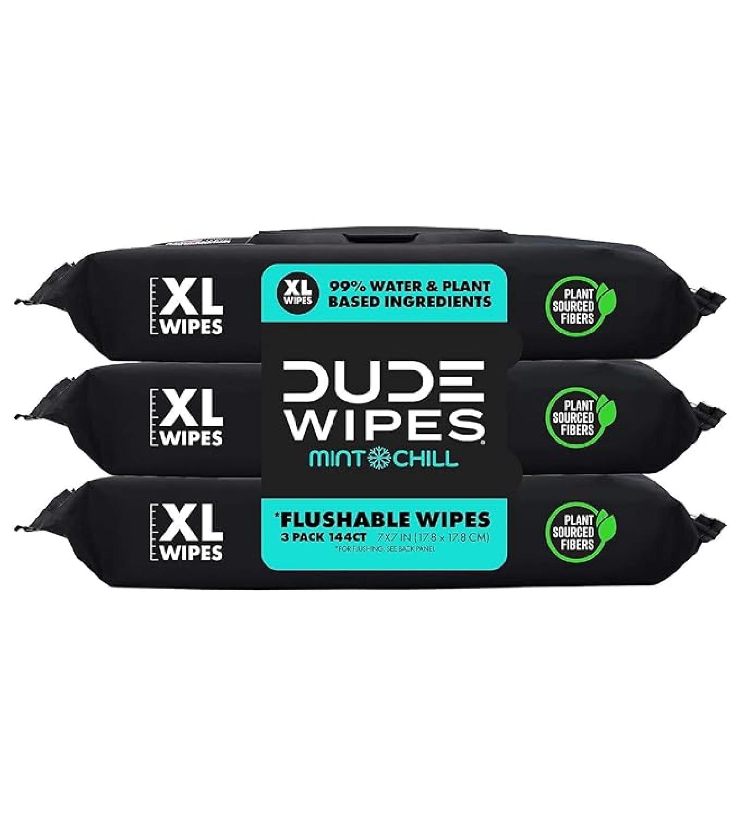 Dude Flushable Wet Wipes 3-Pack - Mint Chill - 144 Count - Vitamin-E  Aloe  Eucalyptus & Tea Tree Oils - Septic Safe - Buy Online on SooperMarket.com