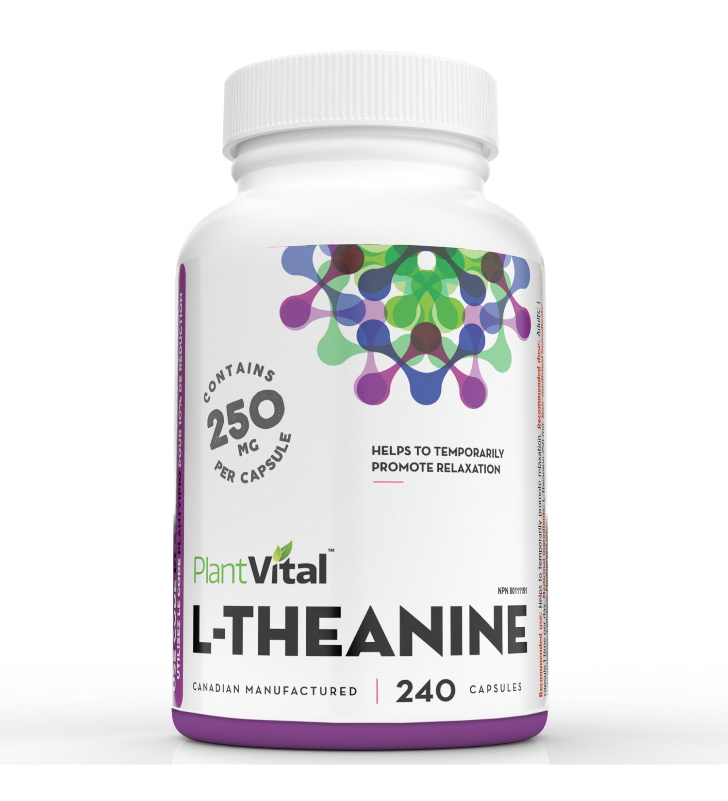 PlantVital High Potency L-Theanine 250mg Capsules - 240 Count - L Theanine Supplement for Relaxation and Stress Management Non-GMO Made in Canada - L-Theanine Supplements 8 Month Supply 240 count (Pack of 1) - Buy Online on SooperMarket.com