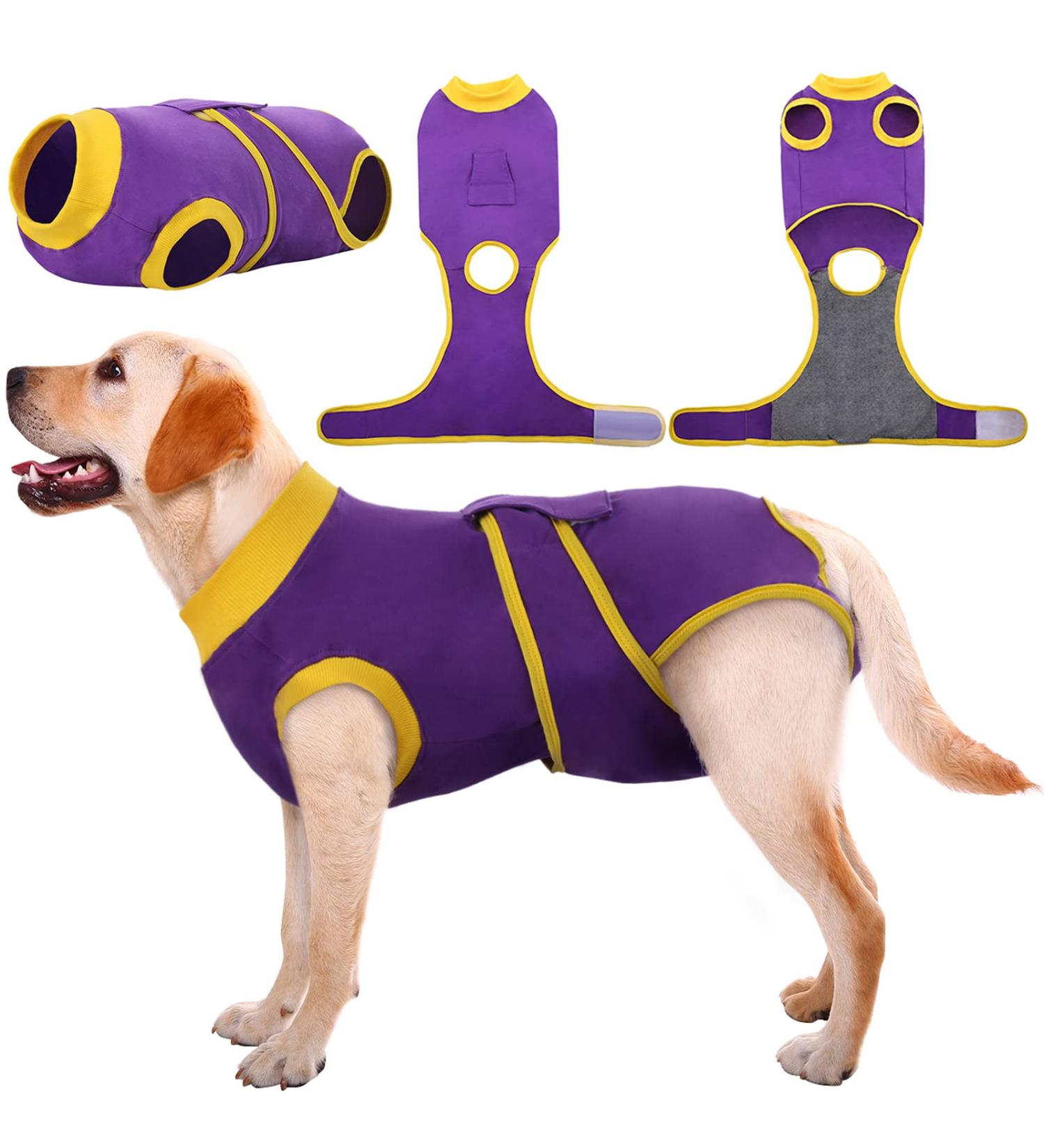 Kuoser Dog Body After Surgery - Breathable Recovery Suit for Male & Female Dogs | Leakage Protection & Anti-Licking | Purple L (1 Pack) - Buy Online on SooperMarket.com