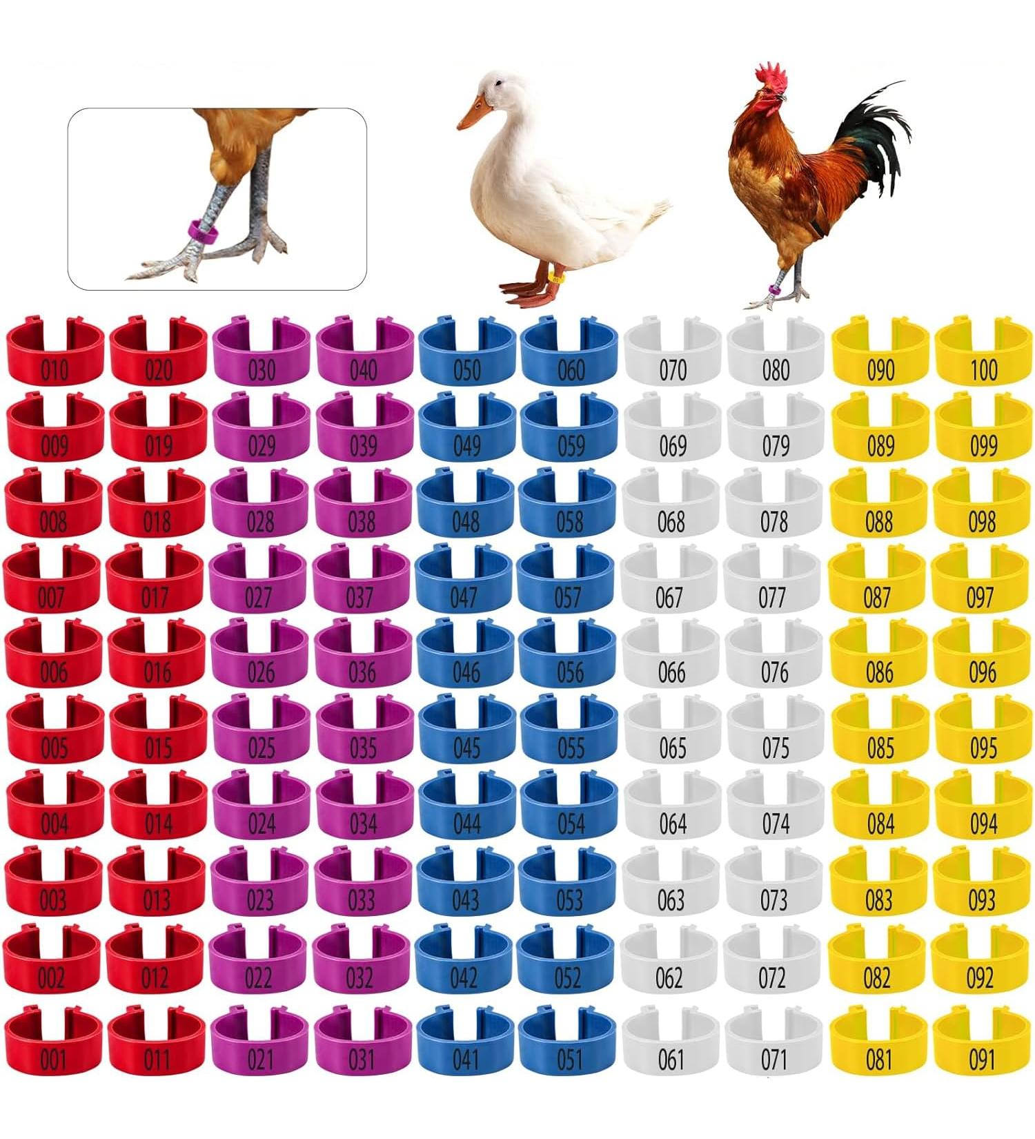 Taicols 100 16mm Chicken Recognition Leg Straps 5 Colors Chicken Foot Labels Ducks Pigeons Guinea Pigs Geese Poultry (16mm) - Buy Online on SooperMarket.com