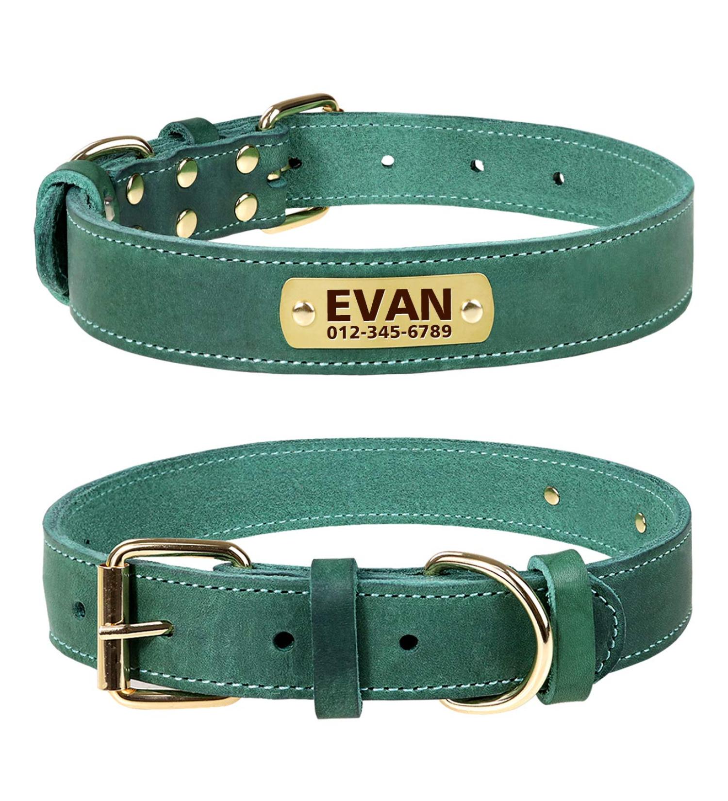 Tagme Personalized Leather Dog Collar - Engraved Name & Phone Number | Adjustable Green Collar for Small Medium & Large Dogs (33-39cm) - 1 Pack - Buy Online on SooperMarket.com