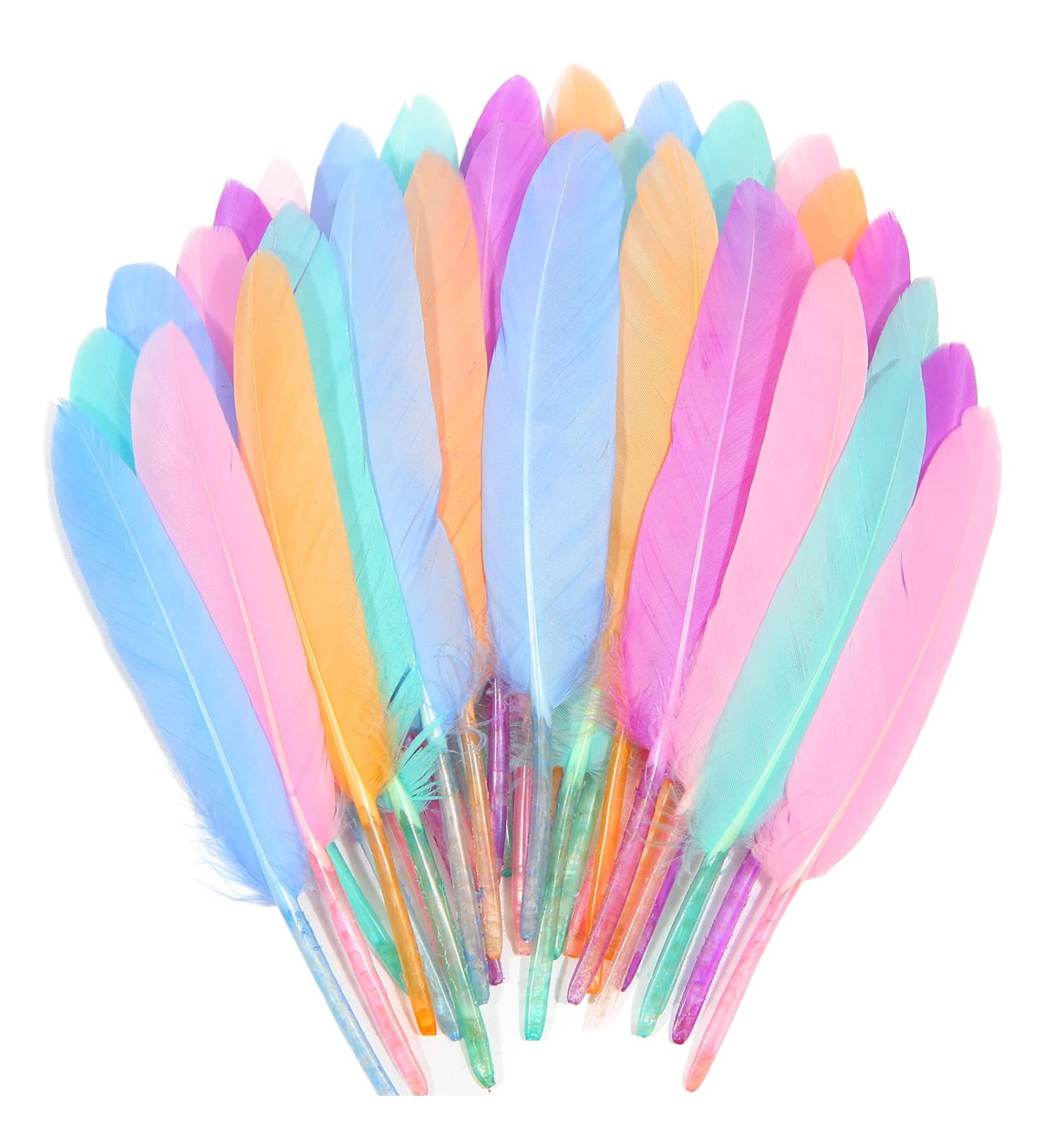 FeelfunFeather 240pcs Macaron Goose Cochettes Feathers 4-6 inch Bulk Natural - Wedding Party Halloween DIY Crafts - Buy Online on SooperMarket.com