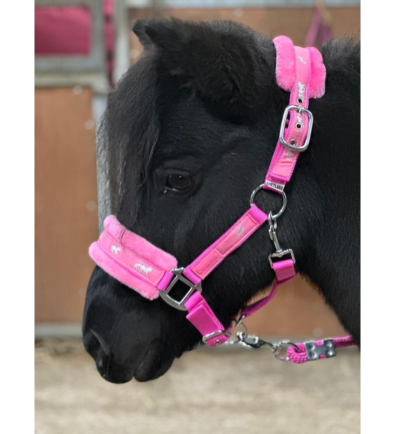 Equipride Horse Print Faux Lined Nylon Headcollars with Matching Lead Rope PINK (Mini Shetland) Pink Mini Shetland