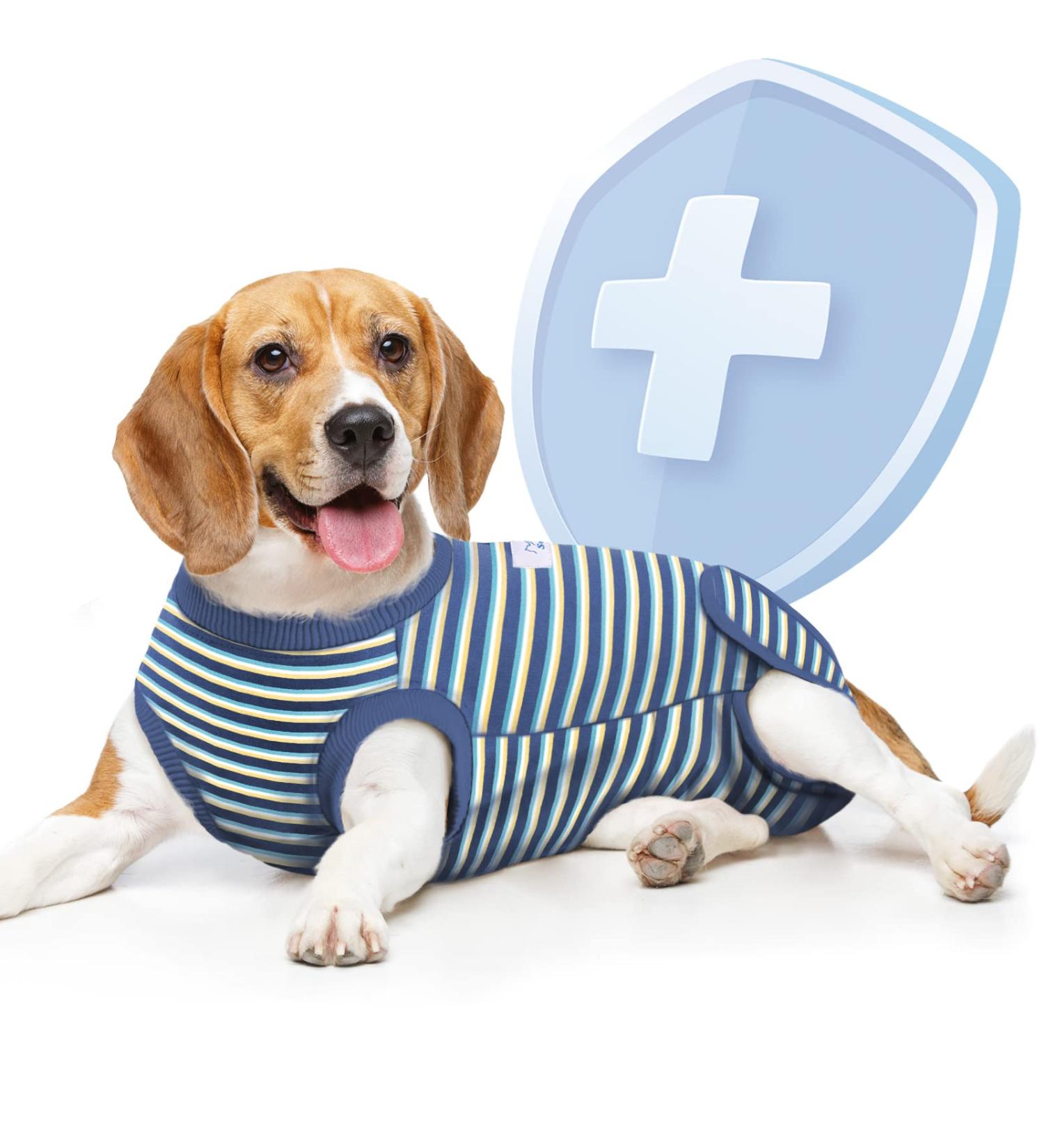 Supet Dog Recovery Suit for Pets | Post Surgery Healing Garment | Prevent Licking Wounds | Puppy Surgical Clothes M (Blue Striped) - Buy Online on SooperMarket.com